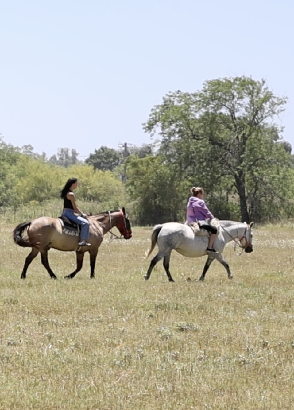 Screenshot 2026-03-23 at 2.18.18 PM.png