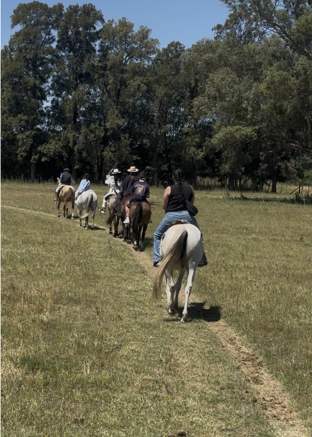 Screenshot 2026-03-23 at 2.16.21 PM.png