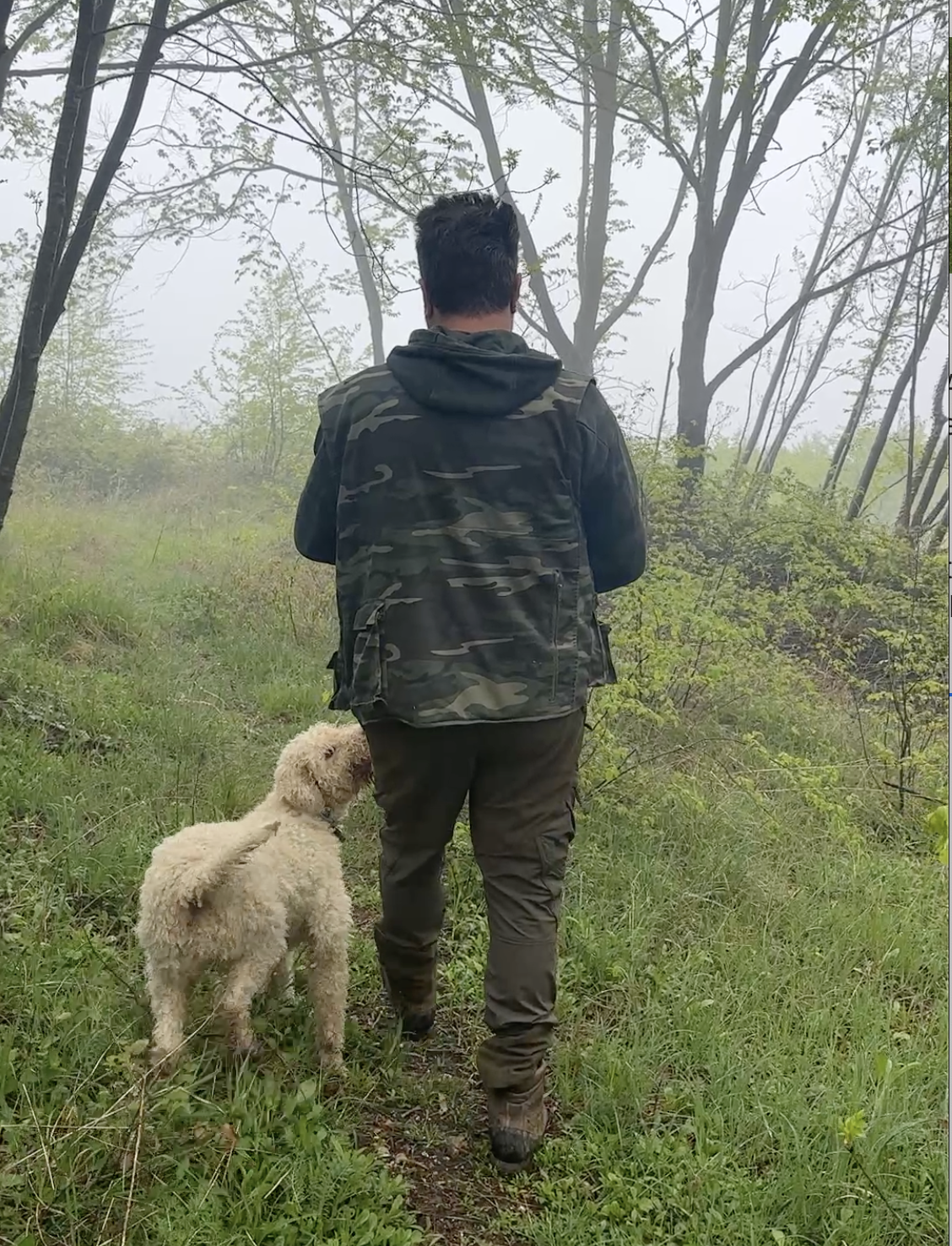 Screenshot 2026-04-02 at 10.22.46 AM.png