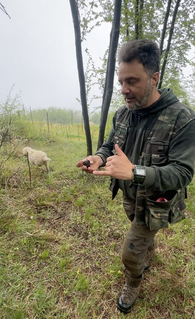 Screenshot 2026-04-02 at 10.26.09 AM.png