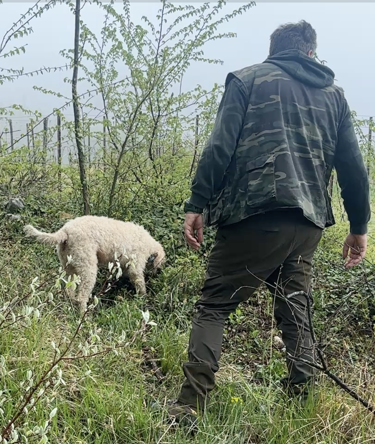 Screenshot 2026-04-02 at 10.39.30 AM.png