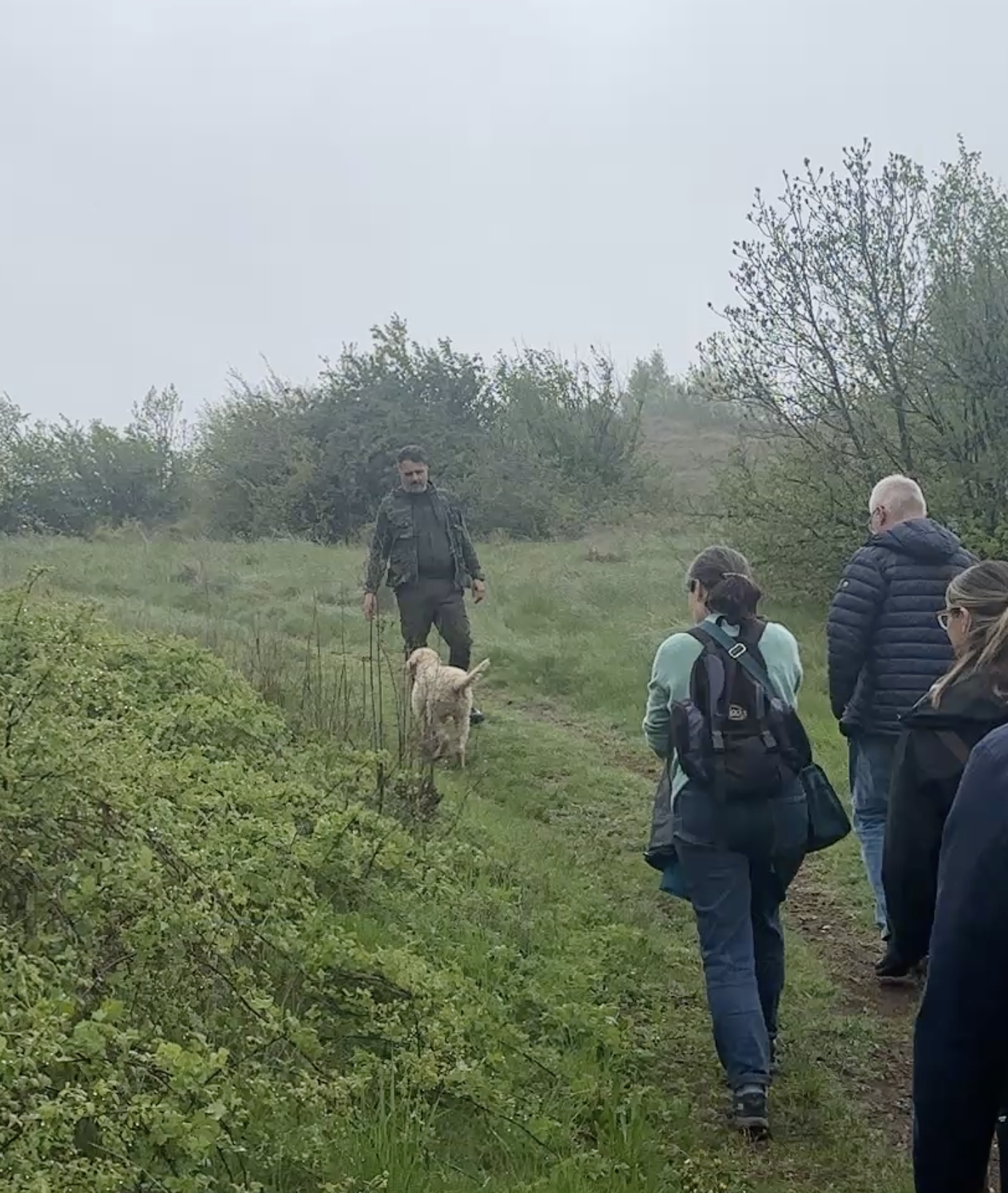 Screenshot 2026-04-02 at 10.45.49 AM.png