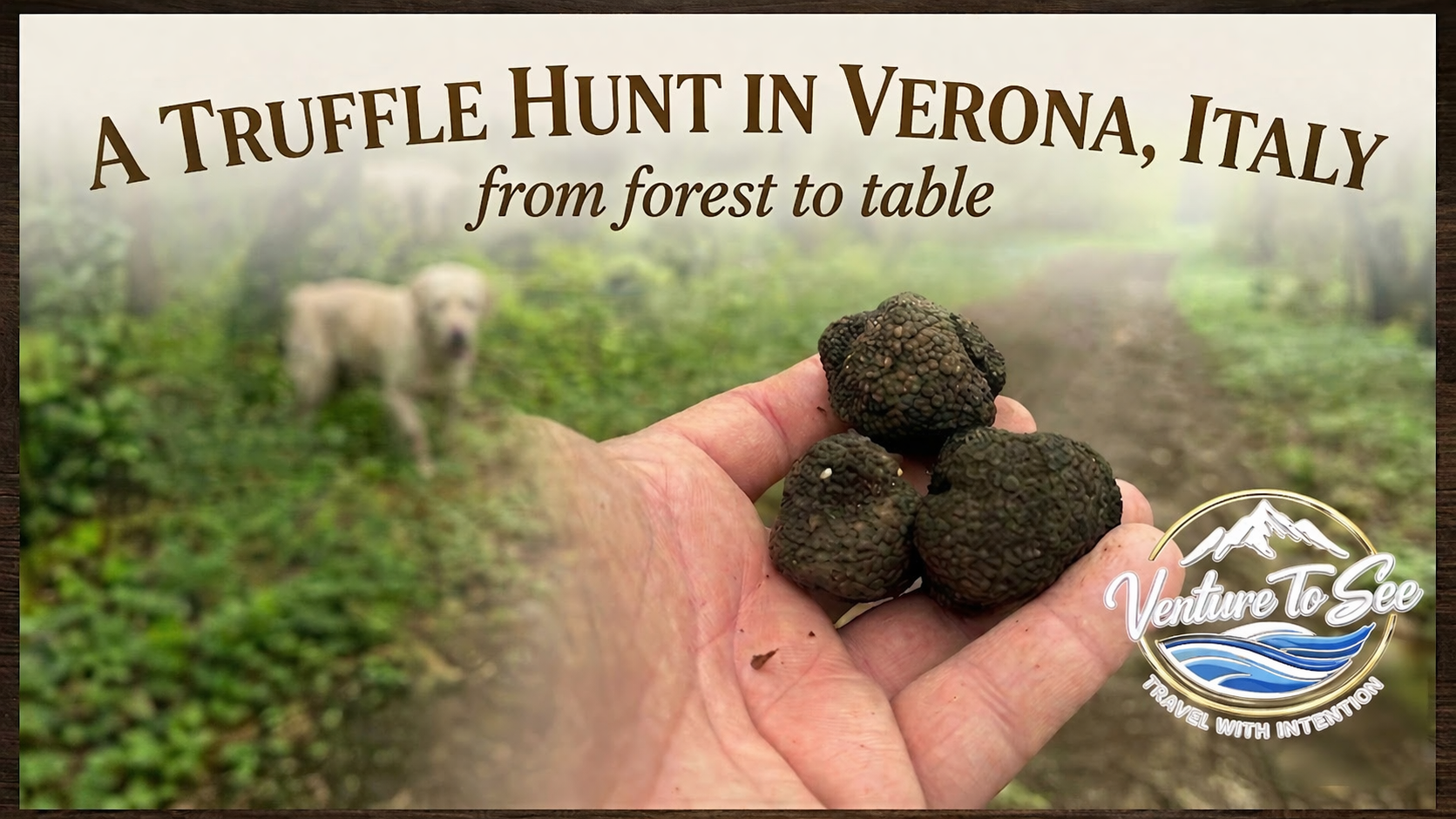 Truffle Hunting in Verona, Italy: A Quiet Experience Worth Taking