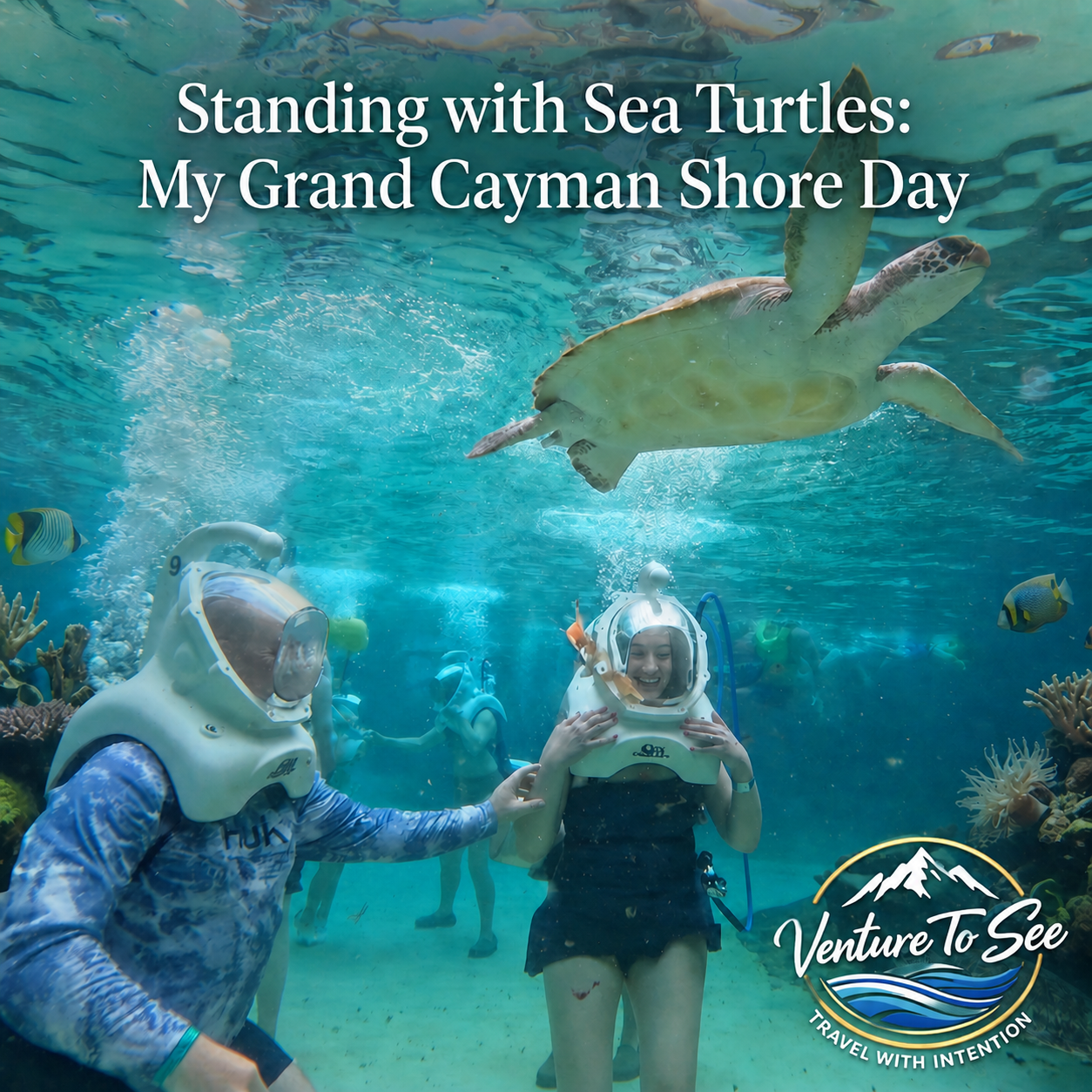 Standing with Sea Turtles: My Grand Cayman Shore Day Review