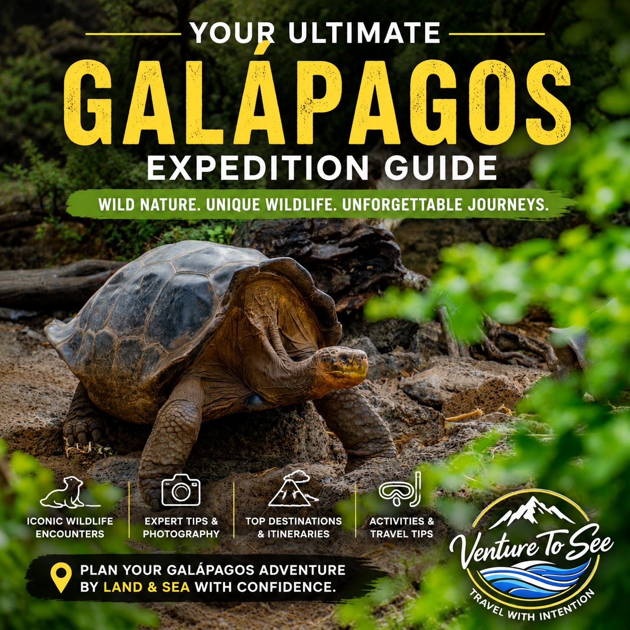 Galápagos Expedition Cruise Guide | Venture To See