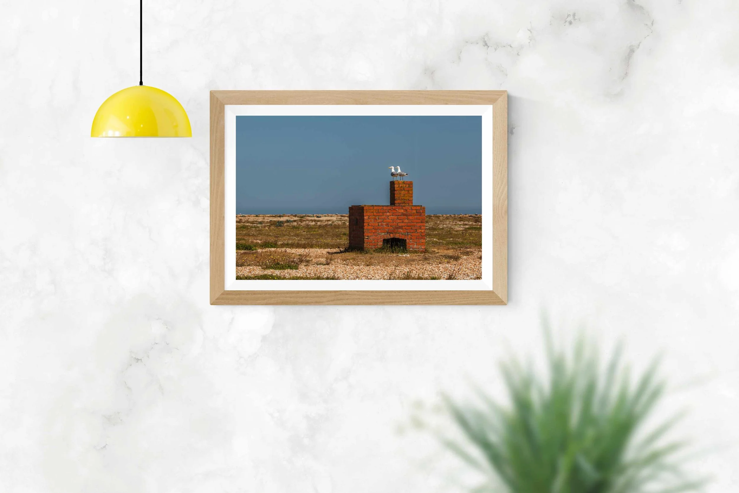 the sentenals - mockup.jpg