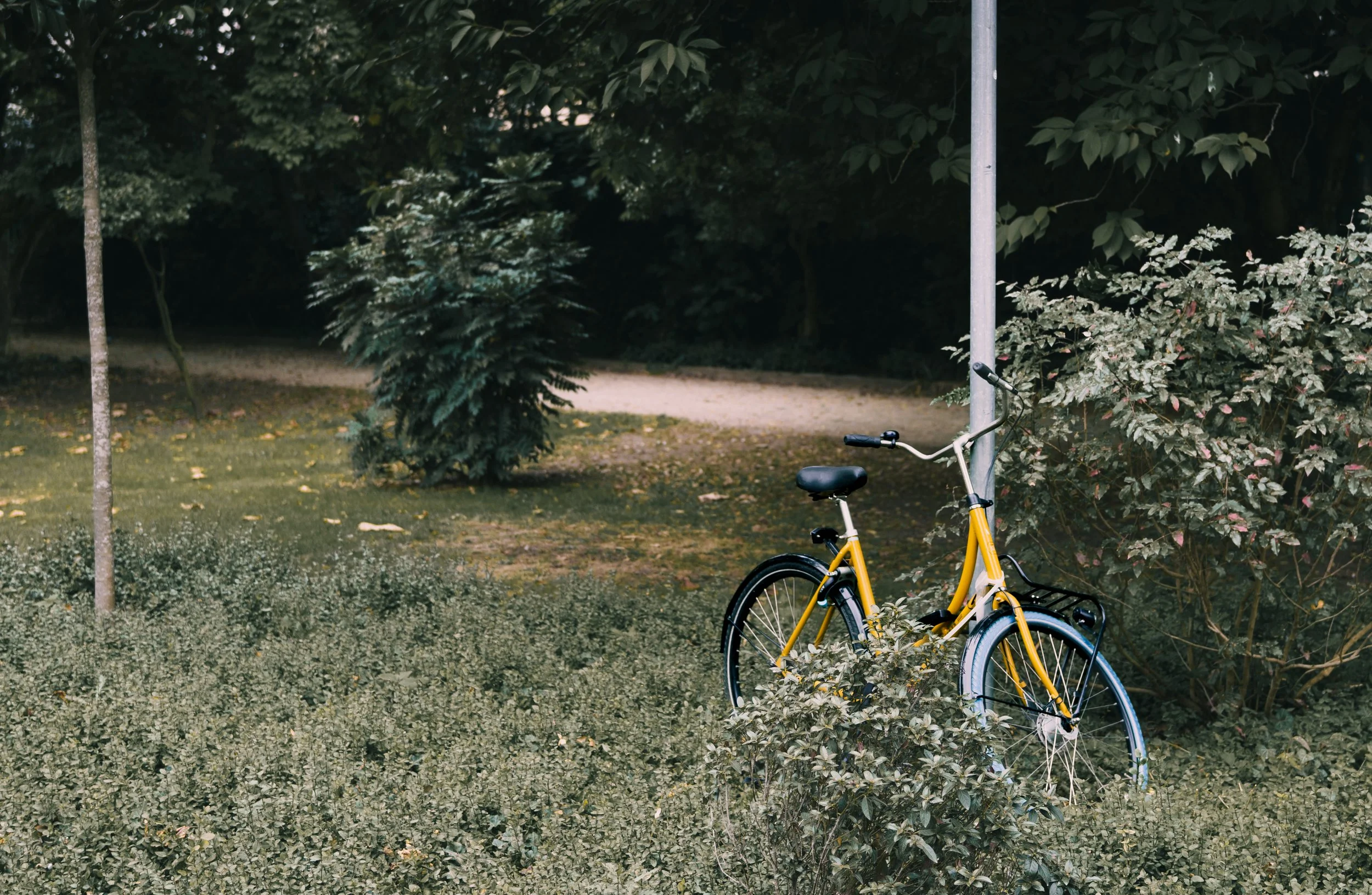Yellow bicycle leaning against a lamppost in a park surrounded by green bushes and trees.
