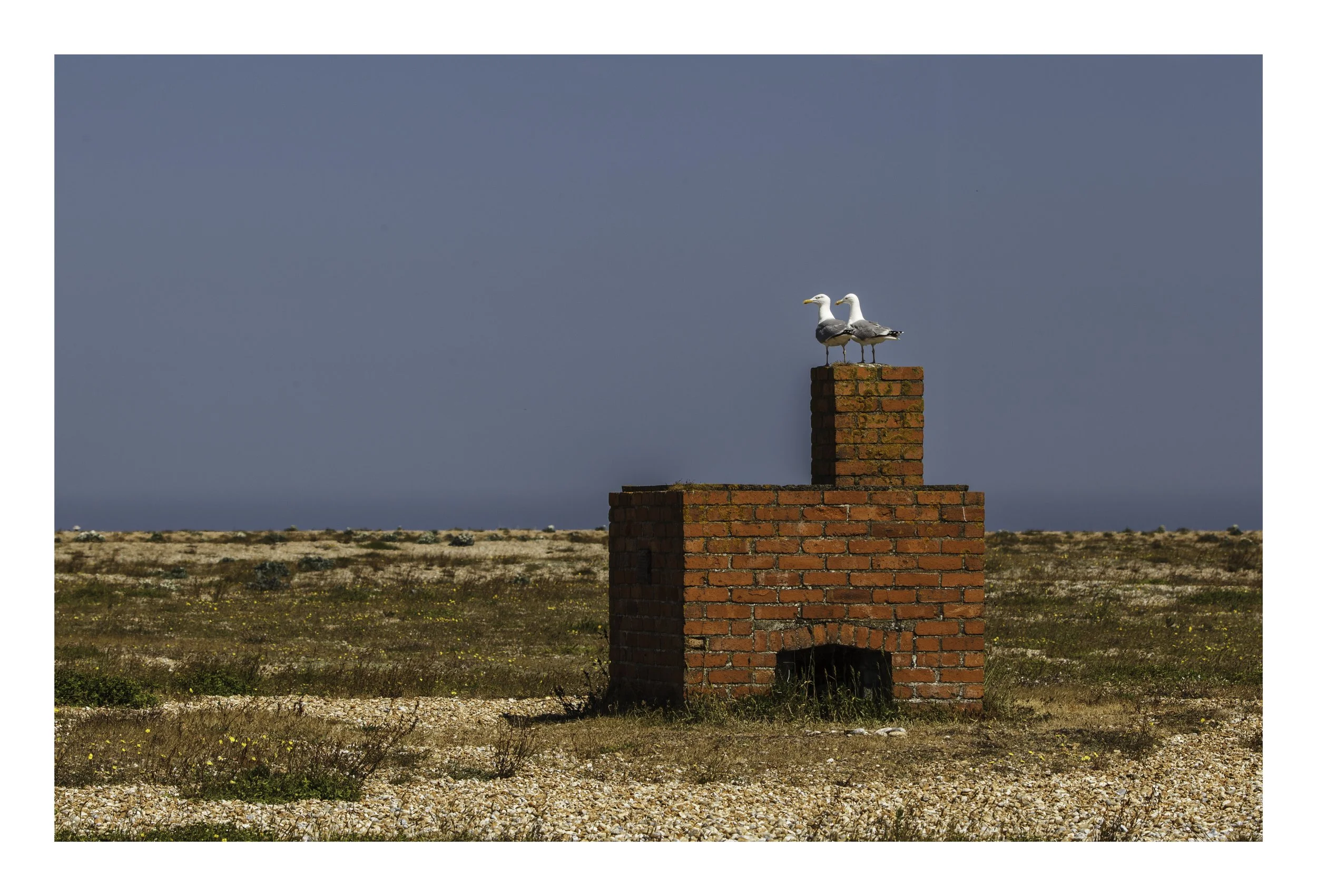 the sentenals - border.jpg