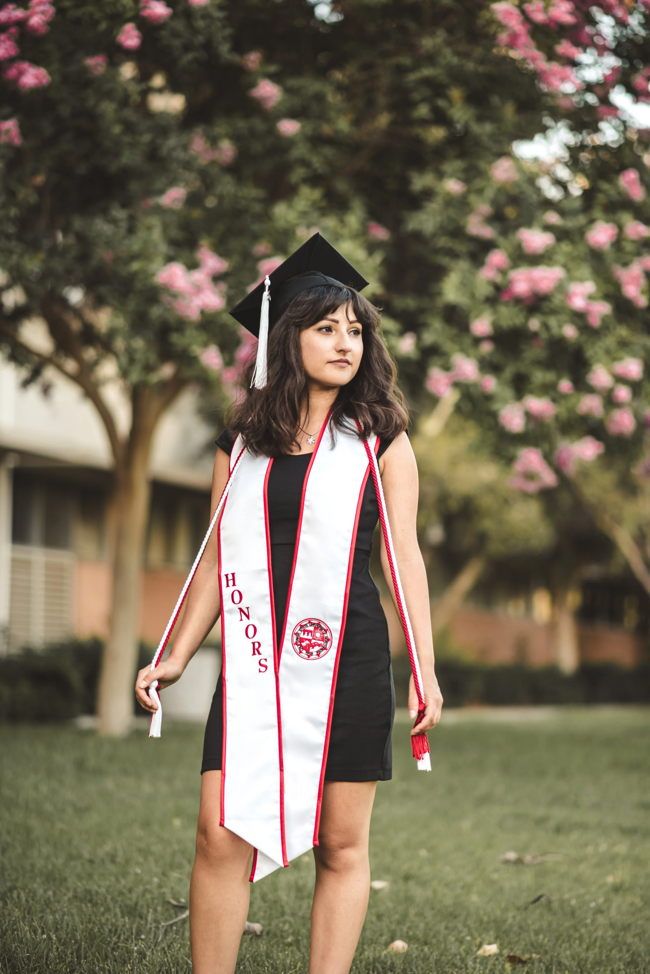 DSC_4791-Edit-Edit.jpg