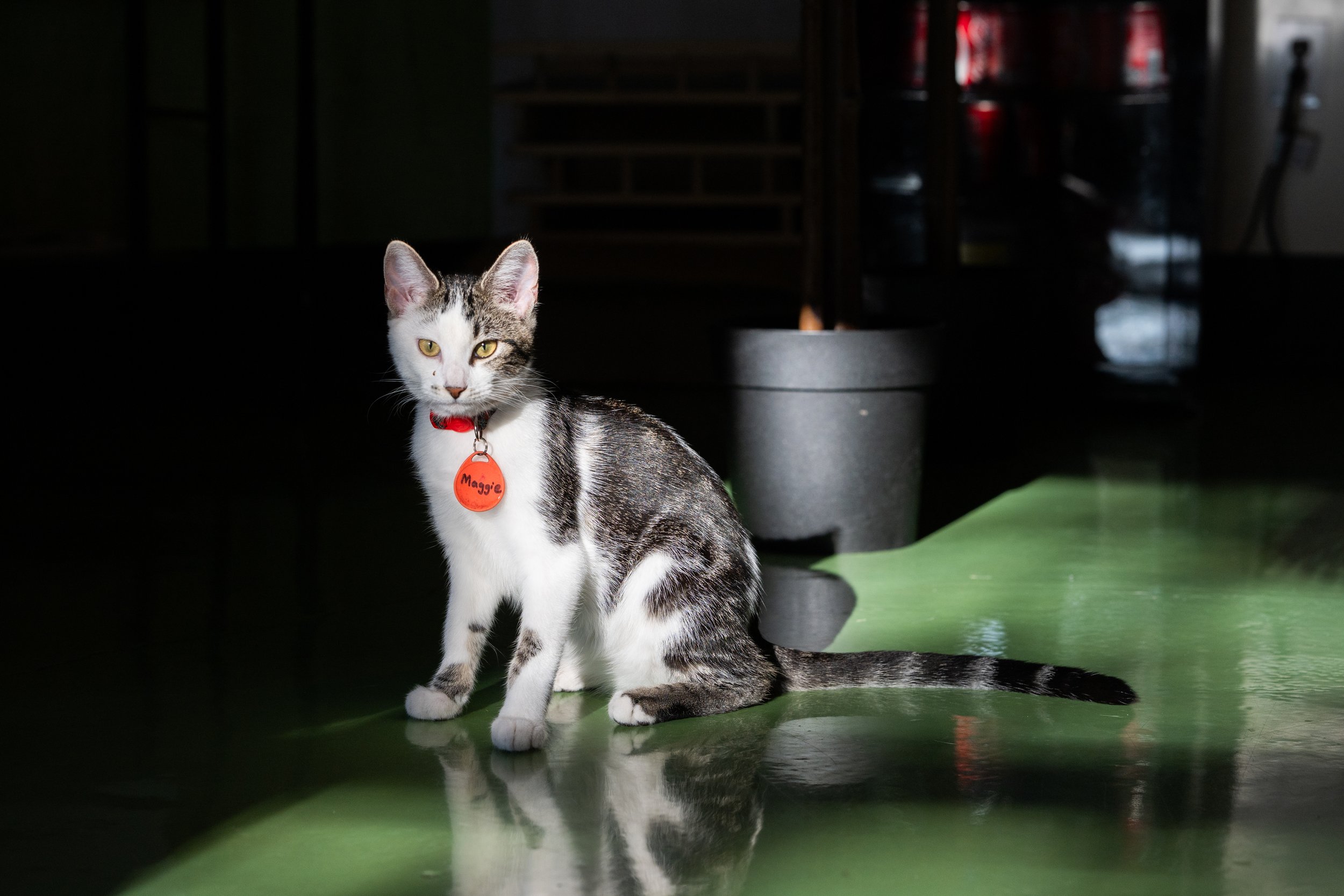 DSC_5172.jpg