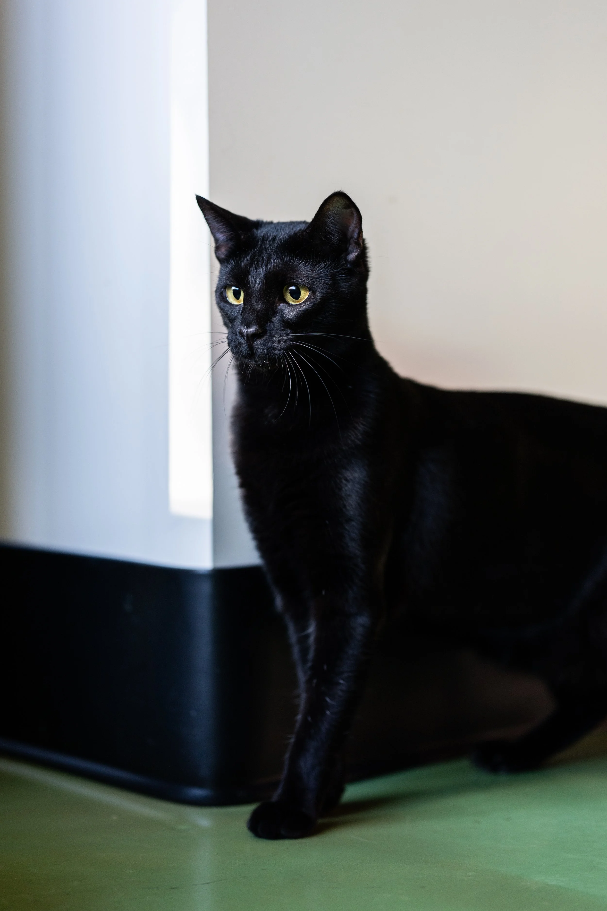 DSC_5211.jpg