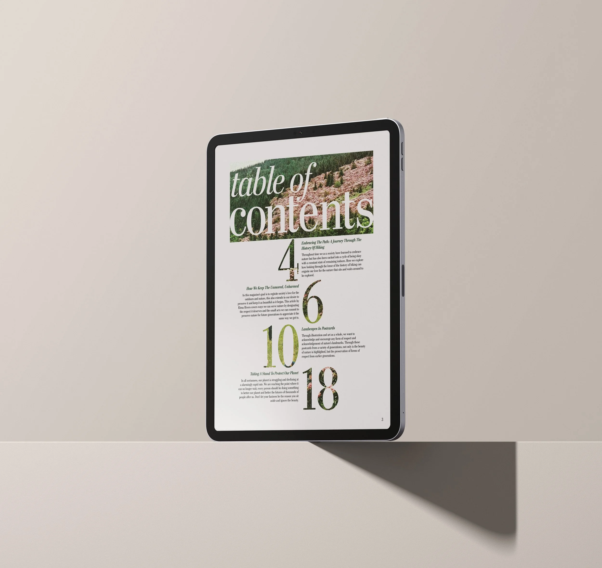 IPad_Layout.jpg