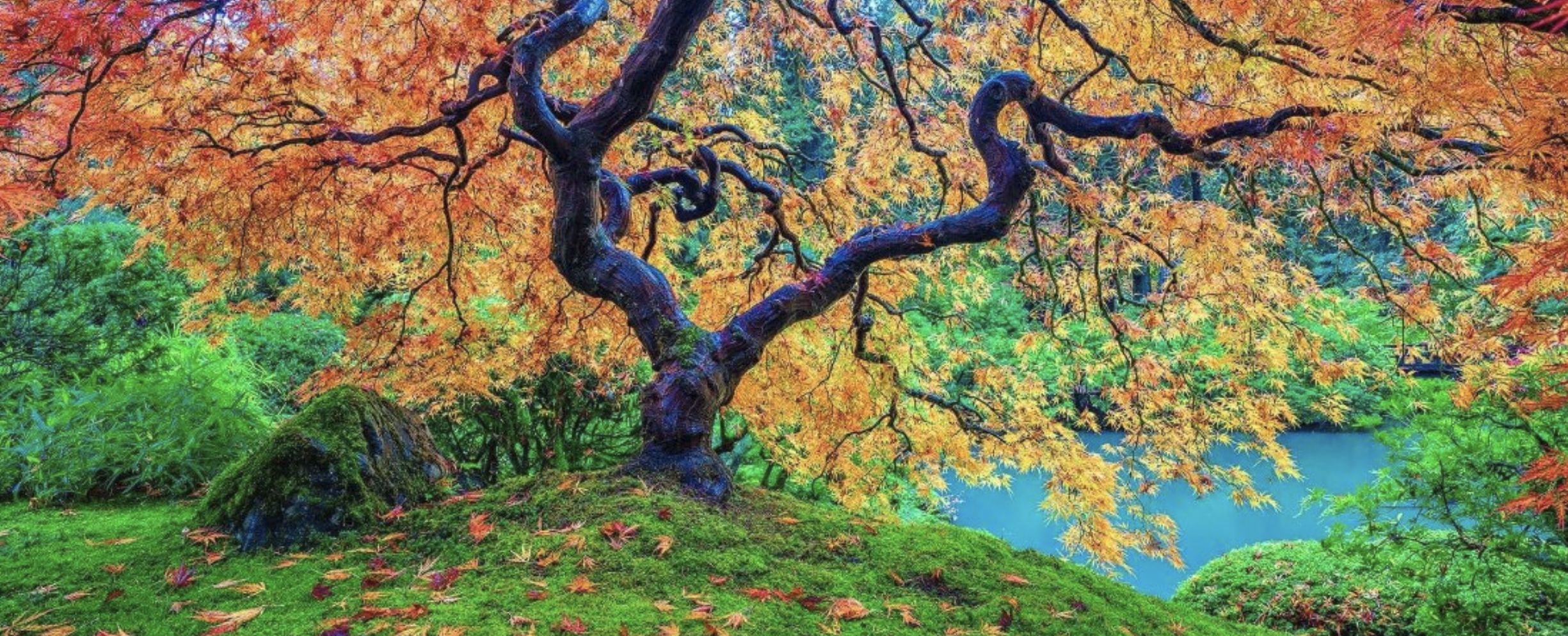 It Was Never About AI (We Are Not Our Tools)