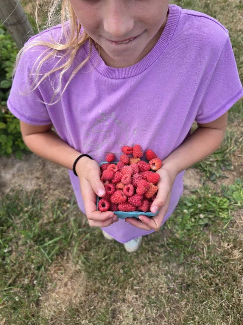 produce at local festival