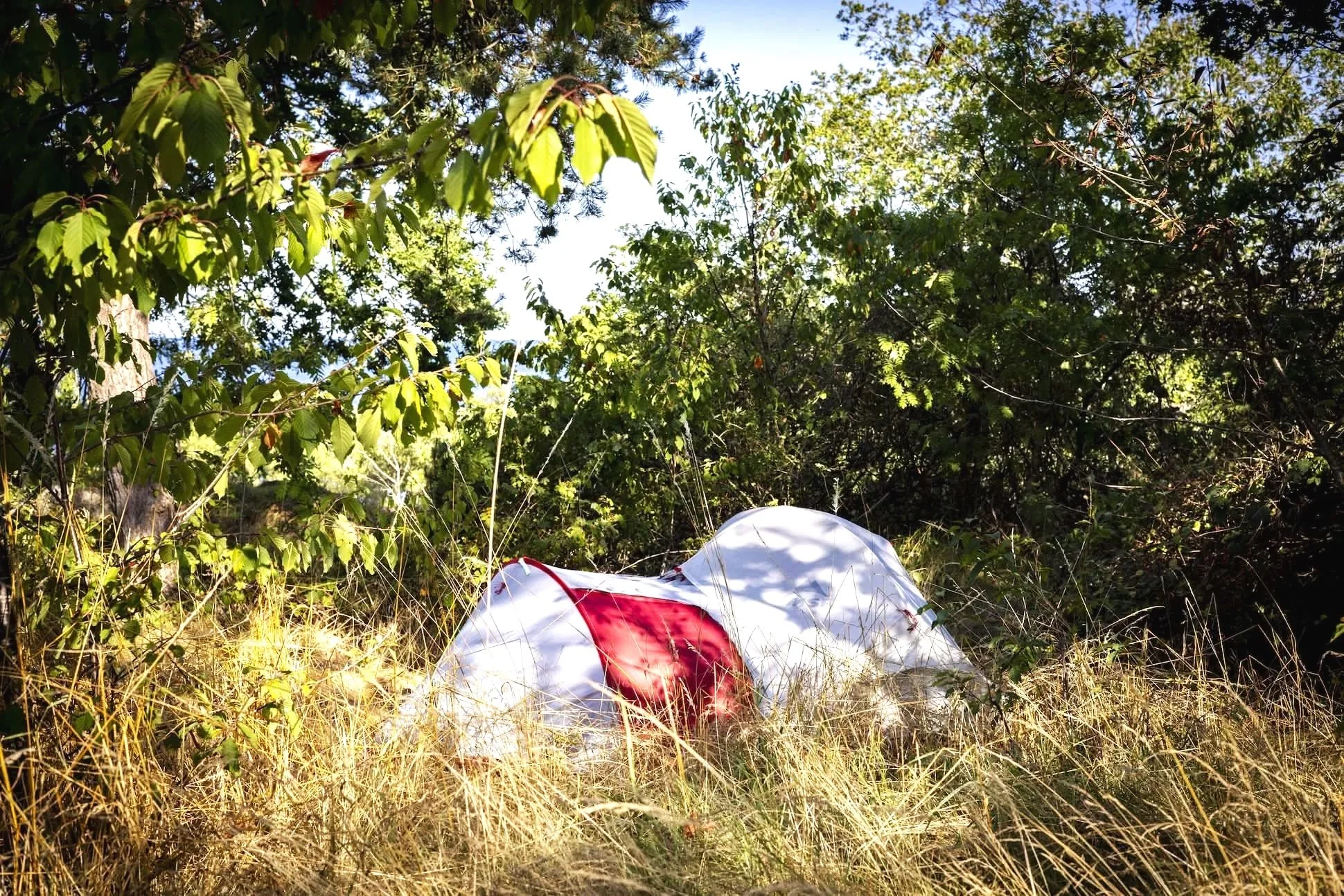 En telt, der ligger i højt græs og er omgivet af træer og buske, med skyer på en blå himmel.