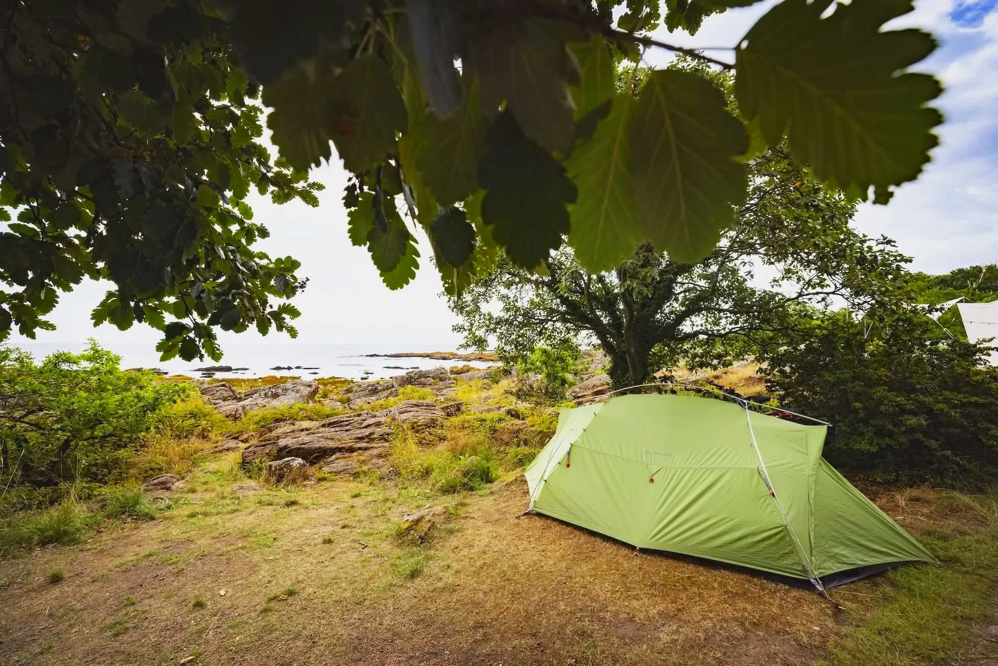 En grøn telt sat op under træer ved en kyst med klipper og vand i baggrunden.
