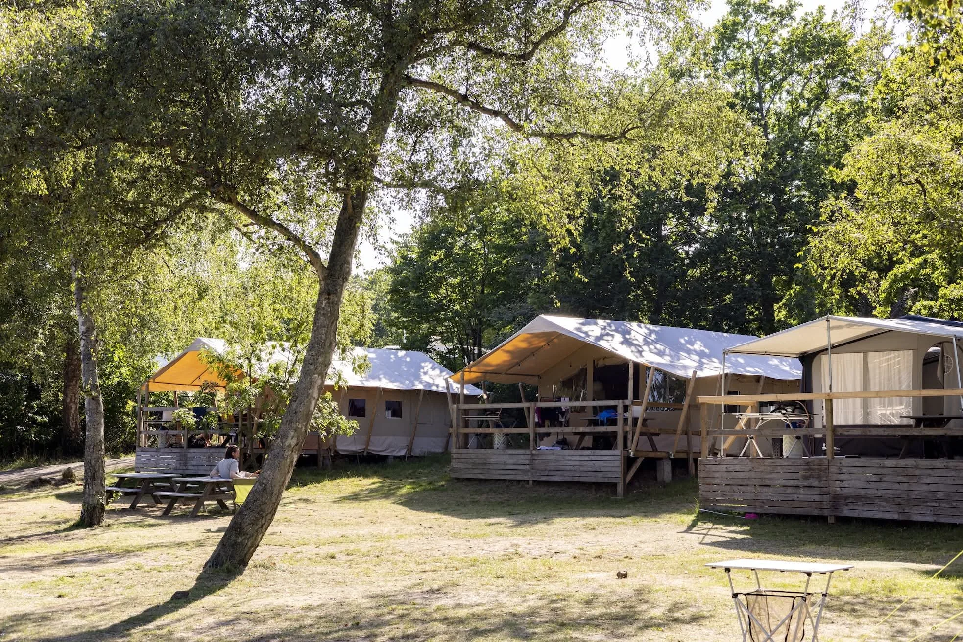 Campingvogne med telt i en skov med grønne træer, sollys, der skinner gennem bladene, og en person sidder ved et picnicbord.