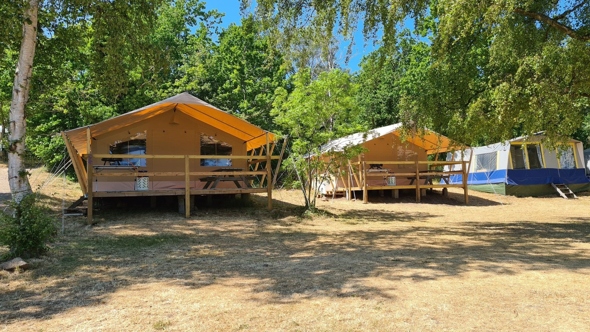 Tre telte sat oppe på en græsplæne, omgivet af grønne træer, med en klar blå himmel over.