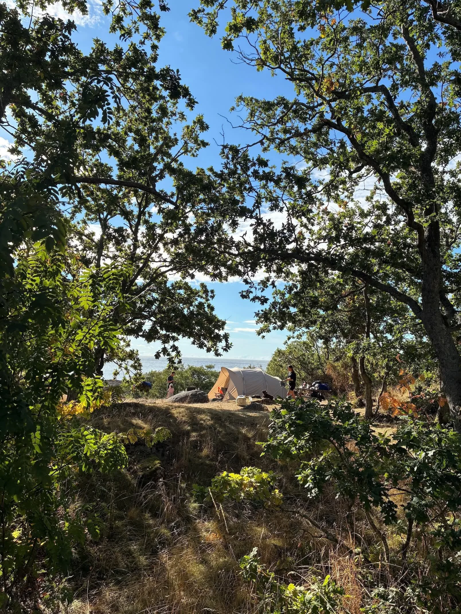 Campingtelt under træer, to personer ved teltet, hav i baggrunden, lys dag, sommeridyll.