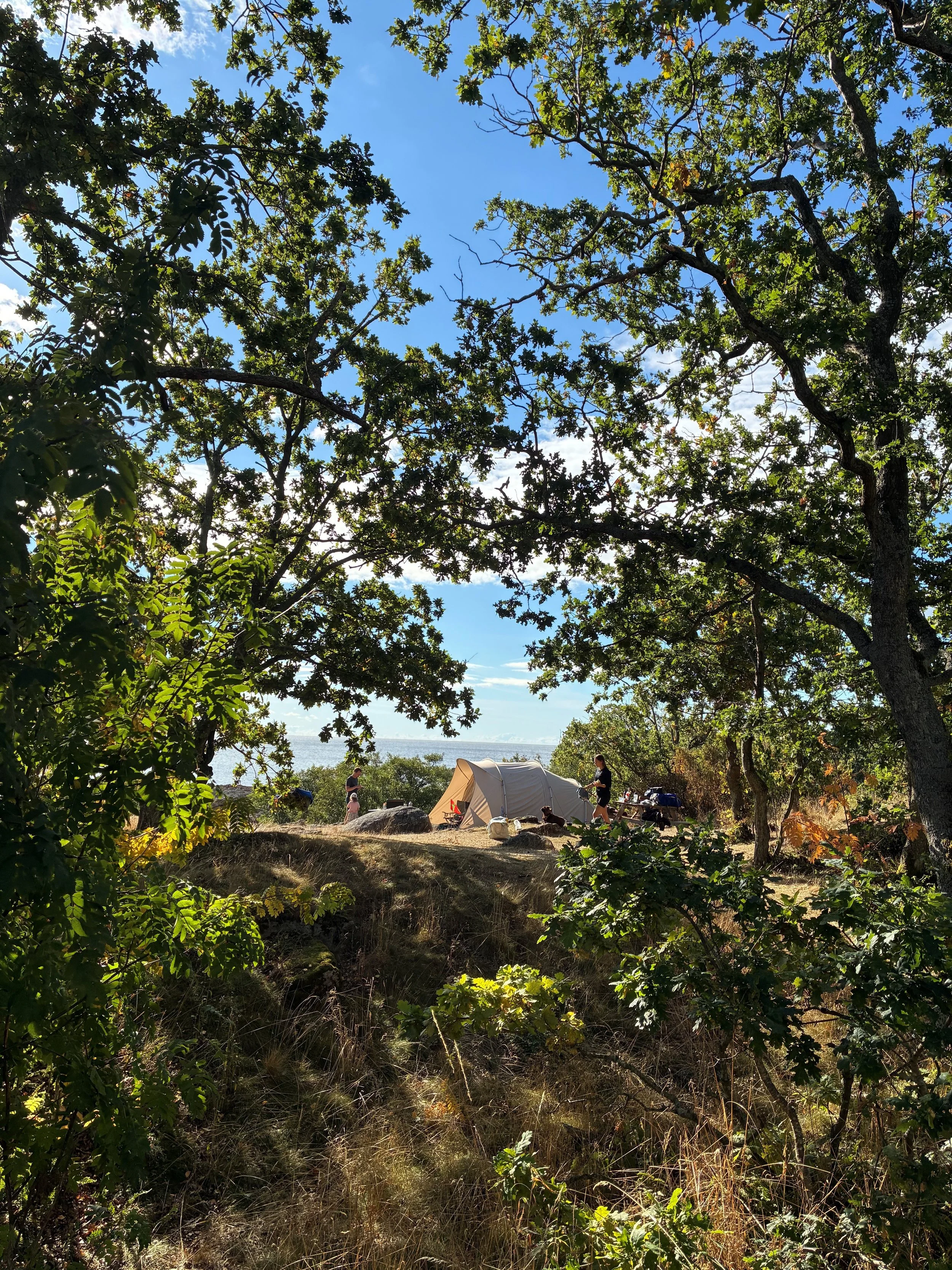Campsite set up under træer ved en fjord med personer, telt og campingudstyr.