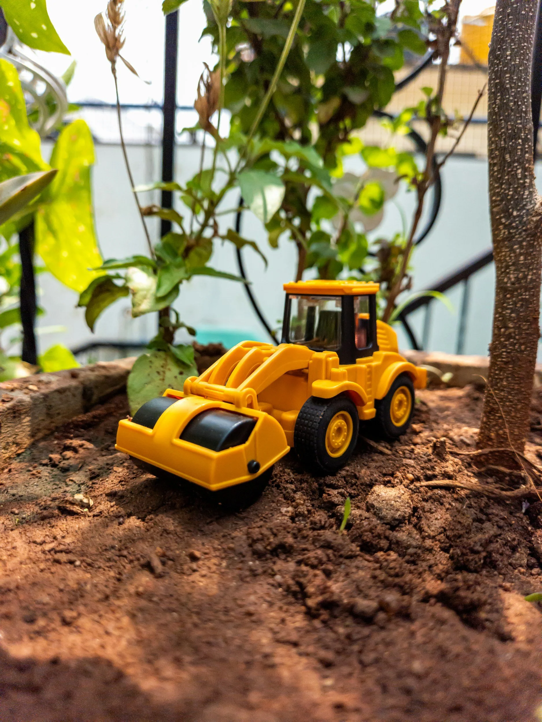 A yellow toy bulldozer on soil in front of plants on a balcony or garden.