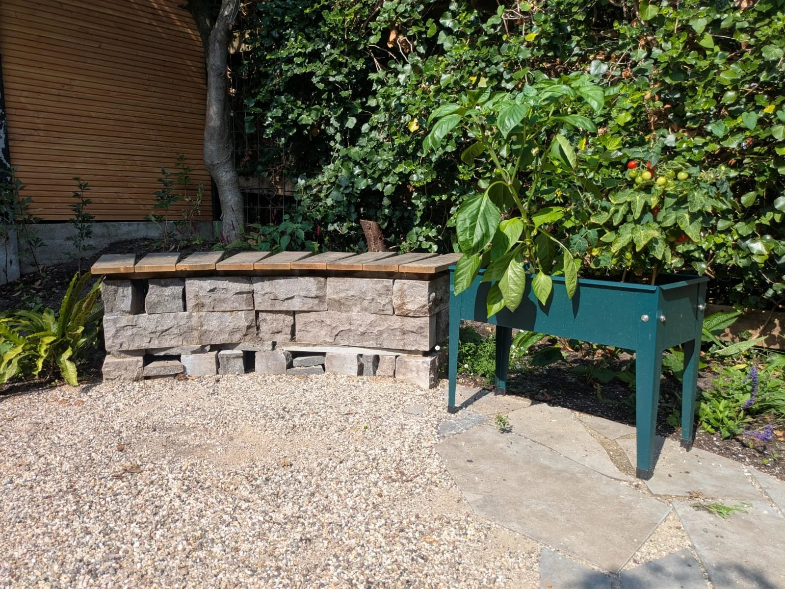 A garden scene with a stone bench with a wooden top, a small tree with ripe cherry tomatoes, and lush green plants and bushes in the background.