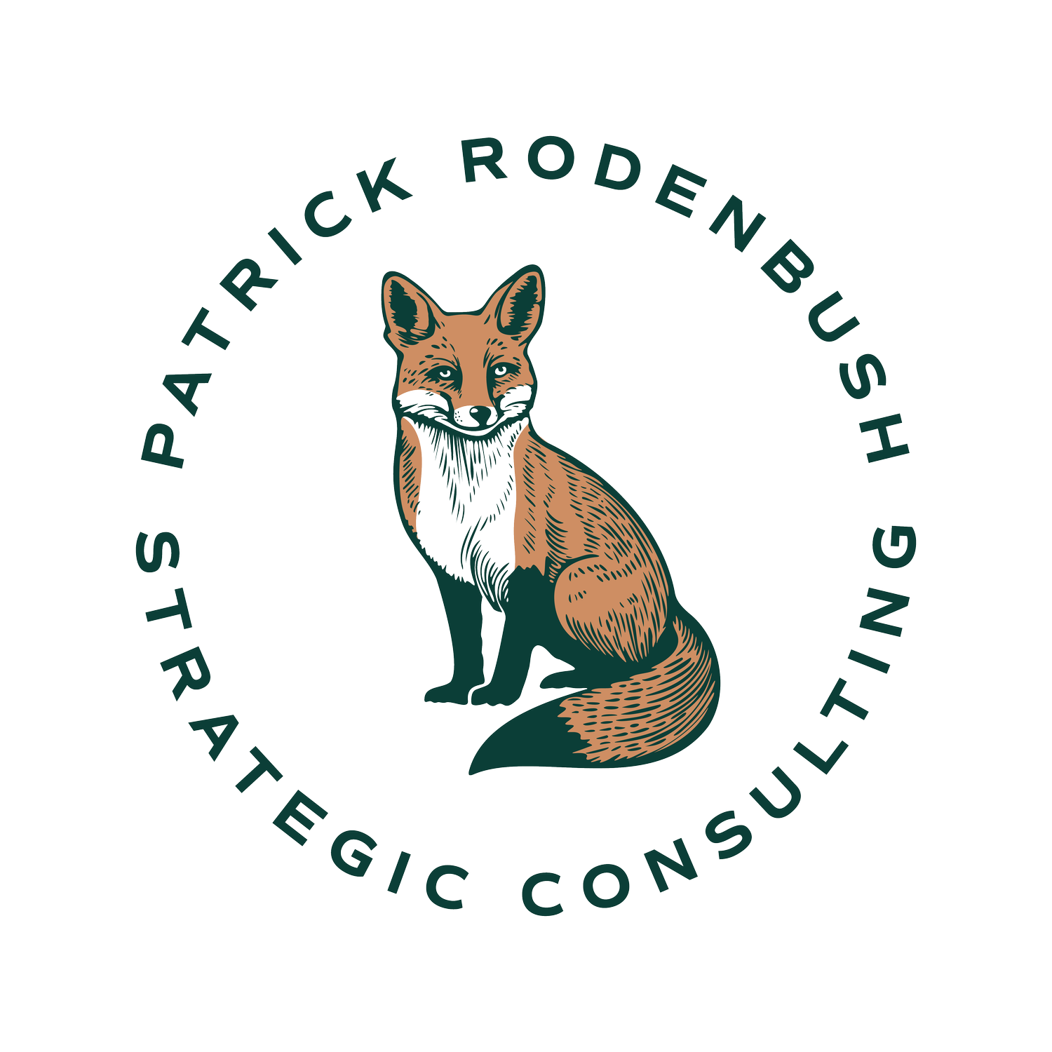 Patrick Rodenbush Strategic Consulting