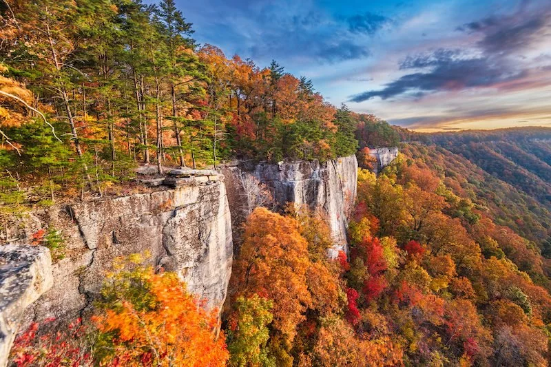 A scenic view of colorful autumn trees on a cliff with a blue sky and clouds in the background.