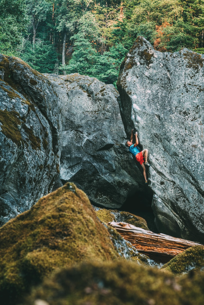 A person rock climbing on a large gray boulder surrounded by moss-covered rocks and a forest of tall green trees.
