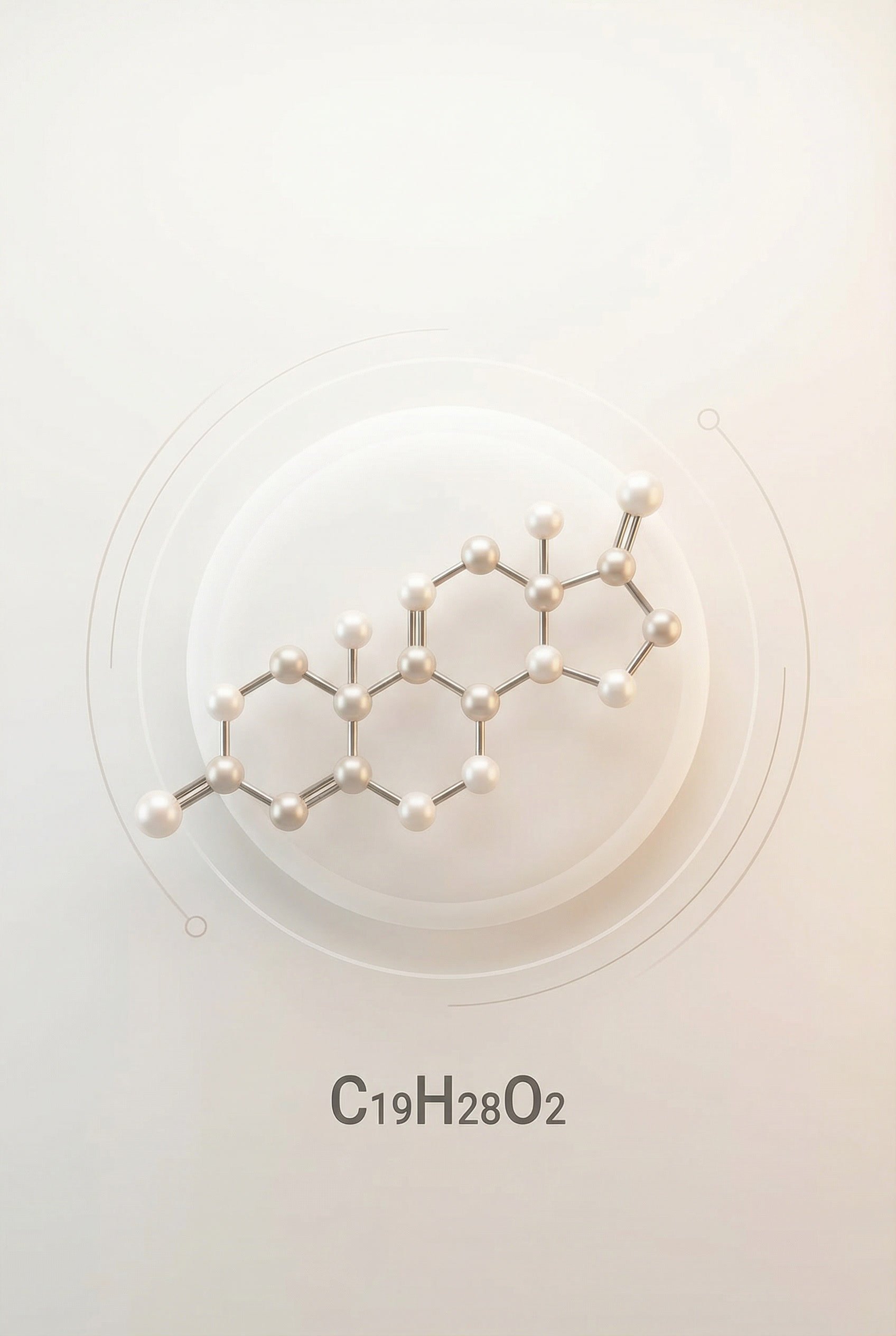 3D digital illustration of a chemical structure with the molecular formula C19H28O2, featuring interconnected spheres representing atoms.