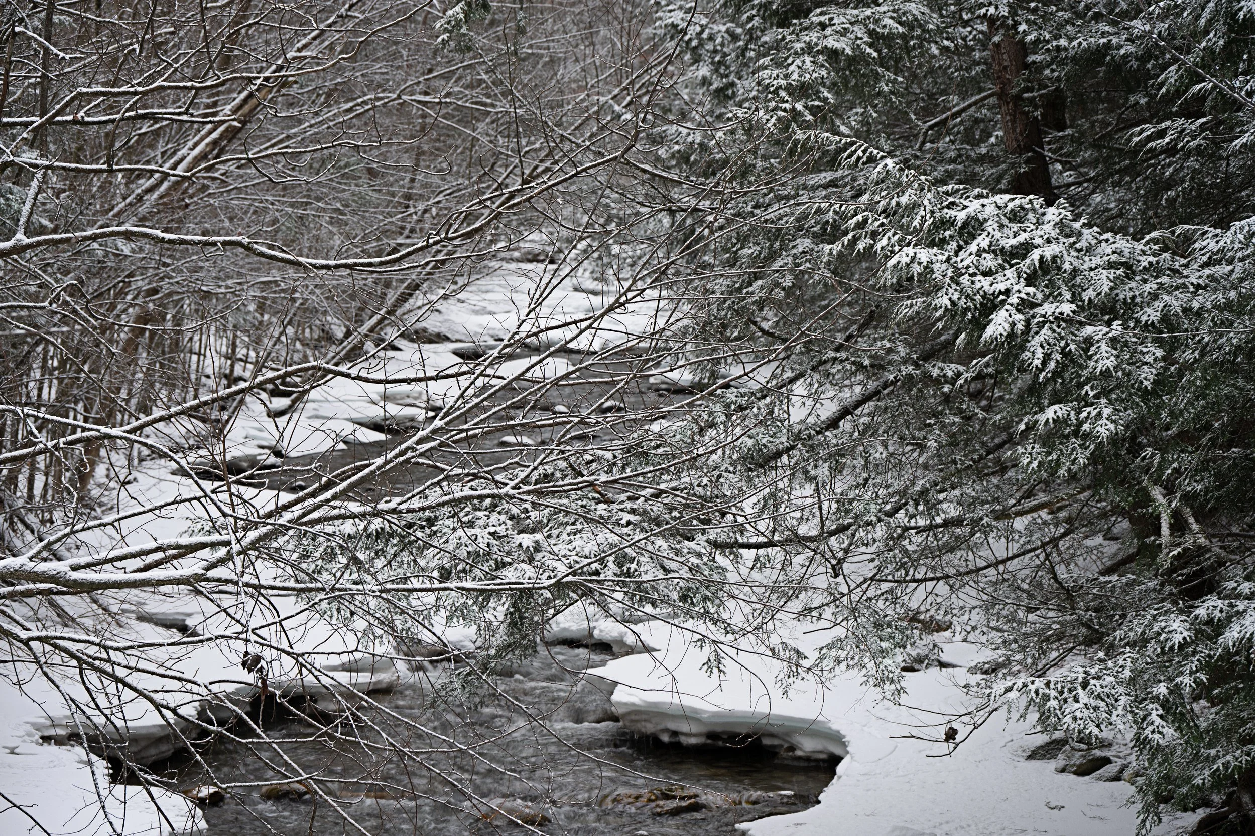 Winter Stream