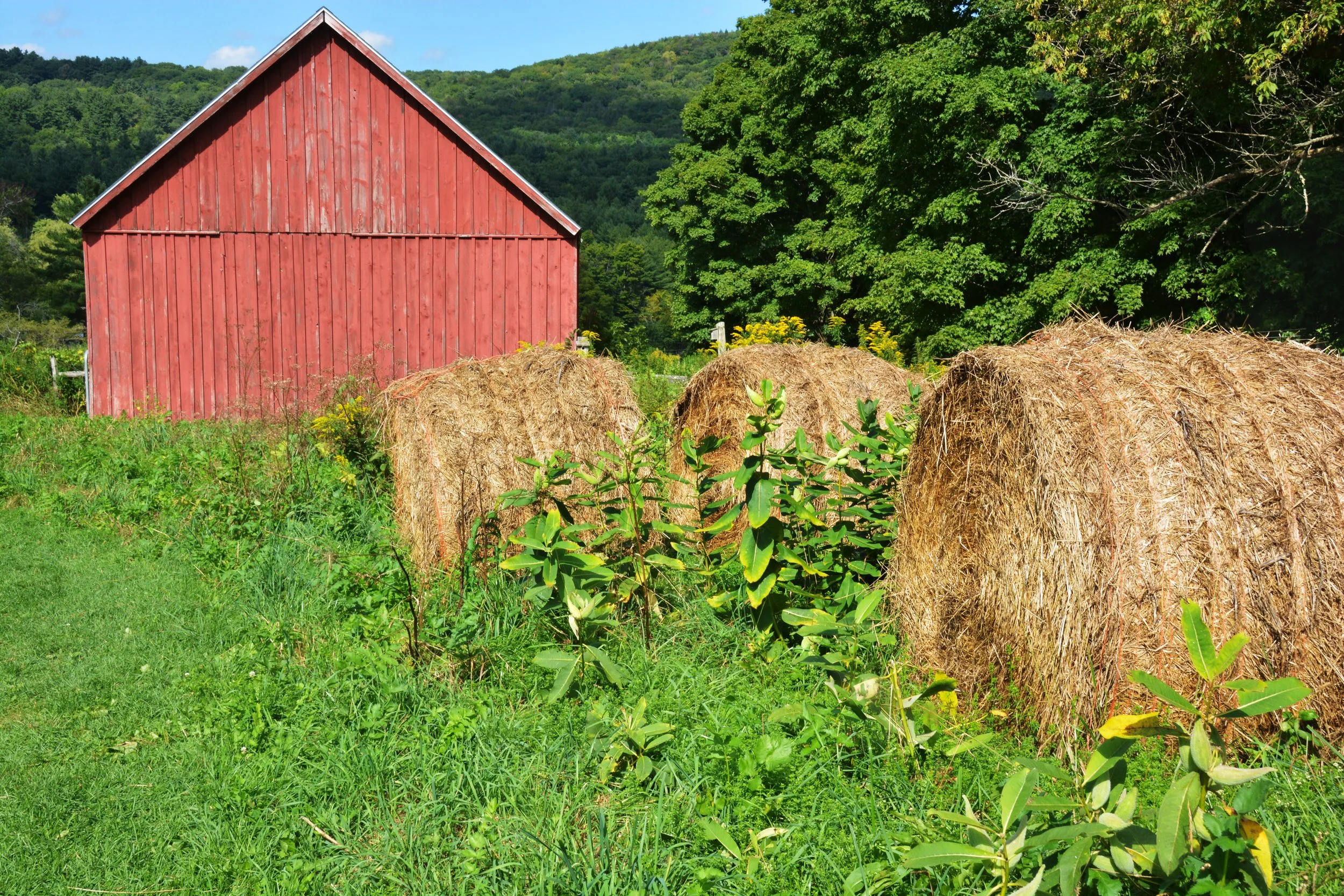 Hay Bales