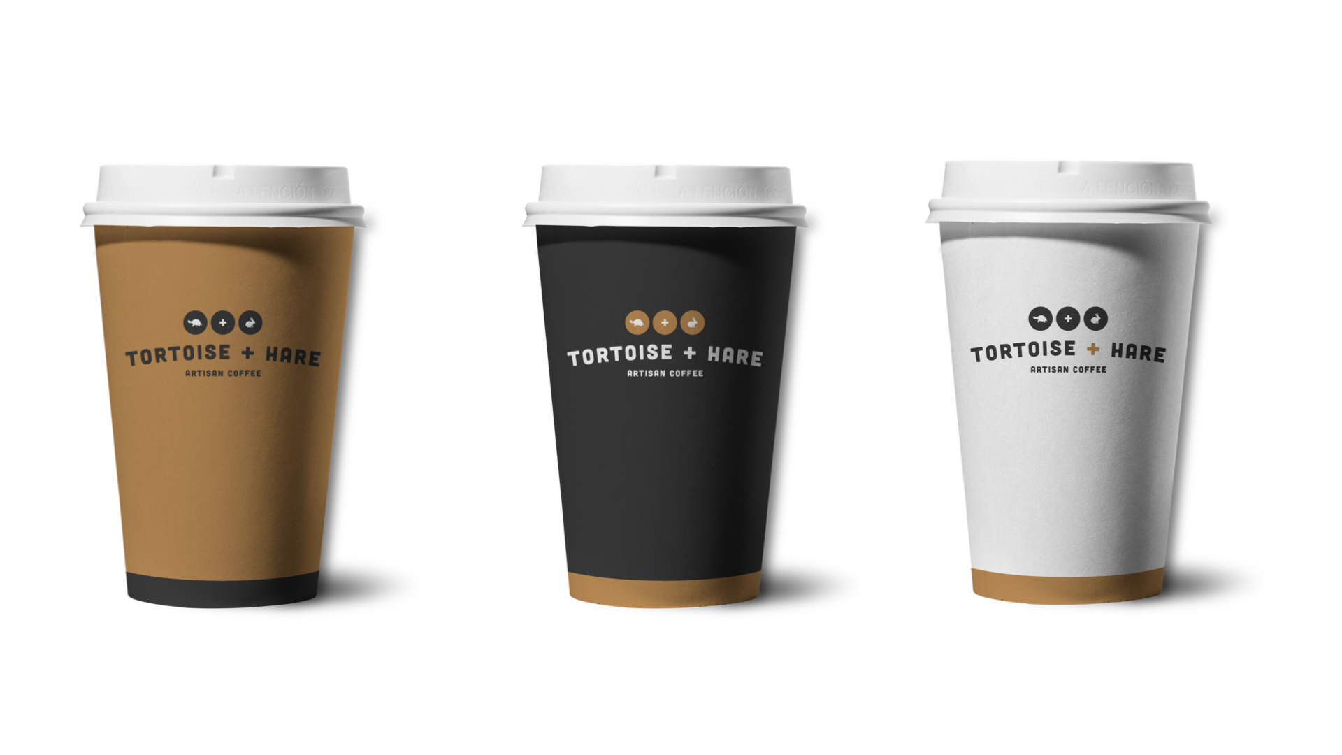 Tortoise + Hare Coffee Brand