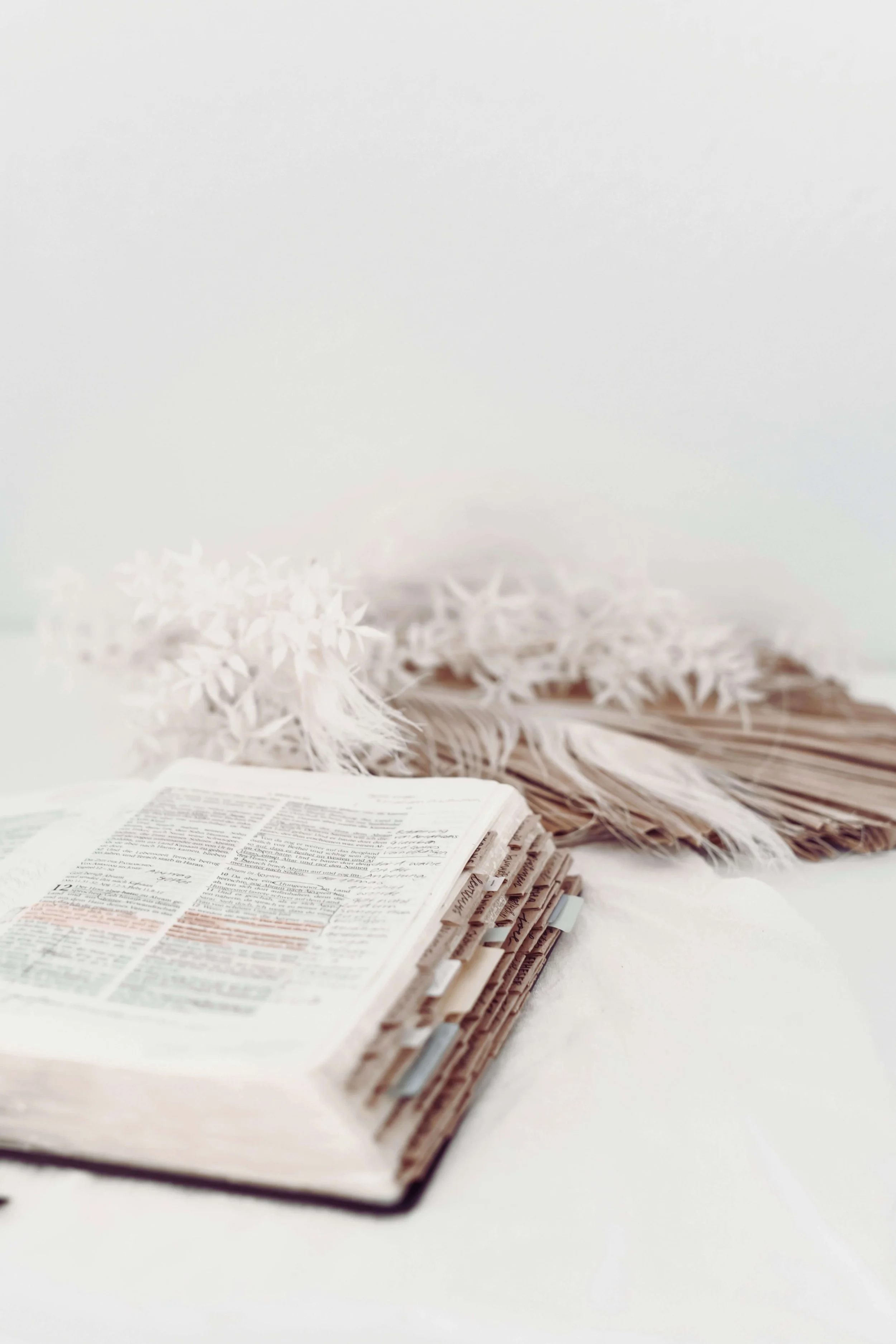 Open bible on desk with feathers for a blog on What It Means to Be Equipped by God