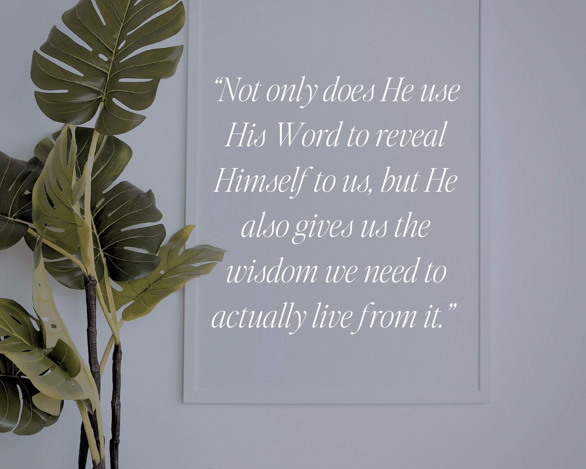 Flower next to frame with quote on frame "Not only does he use his word to reveal himself to us, but He also gives us the wisdom we need to actually live from it."