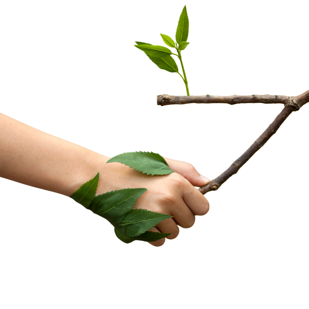 Hand, die einen Zweig hält, auf dem grüne Blätter wachsen, gegen einen schwarzen Hintergrund.