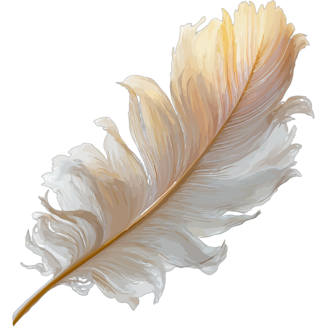 Eine gemalte Darstellung einer großen, weißen, beigen und cremefarbenen Feder auf schwarzem Hintergrund.