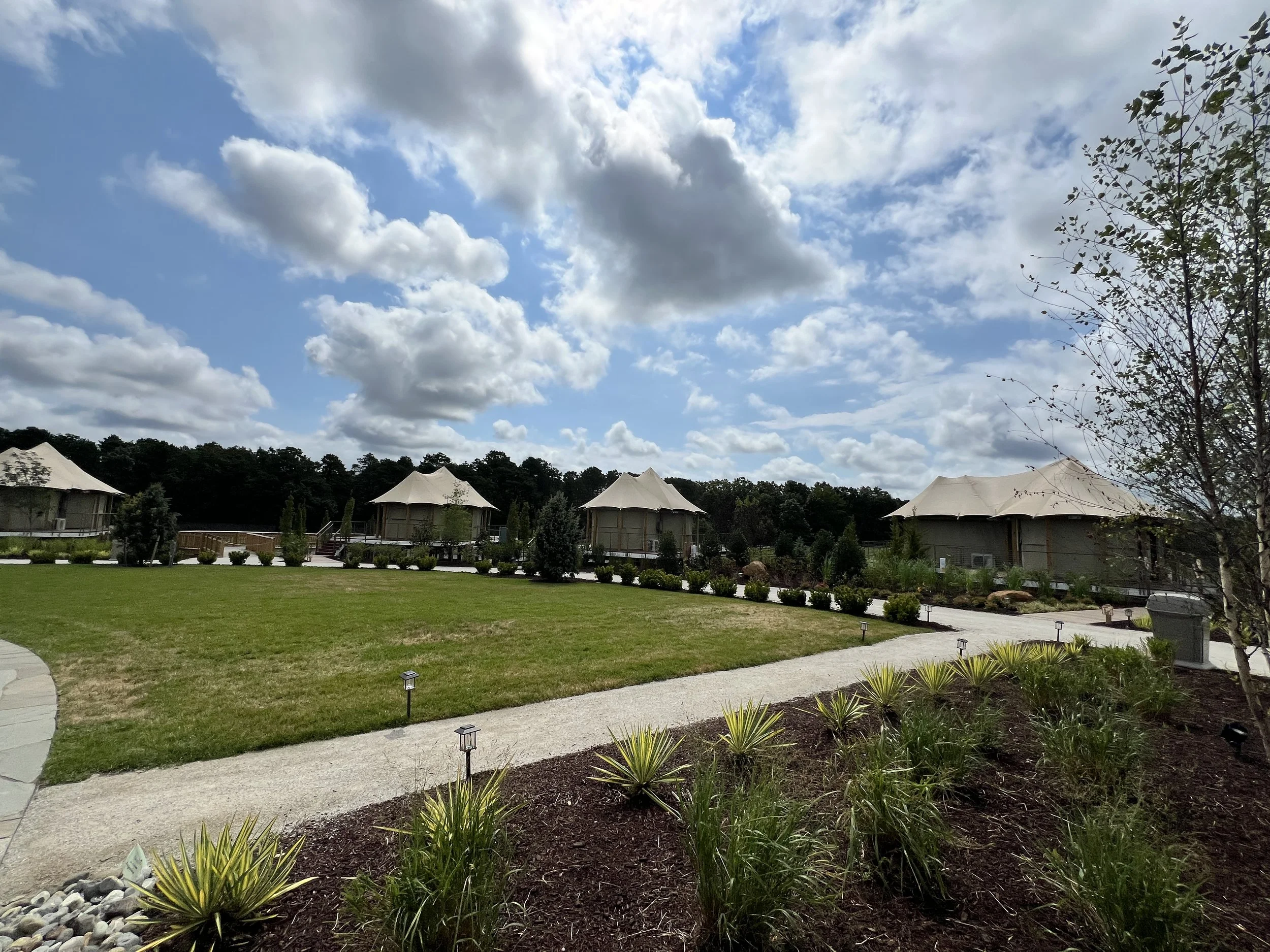 Savannah Sunset Exclusive Tour - 8/31/2024