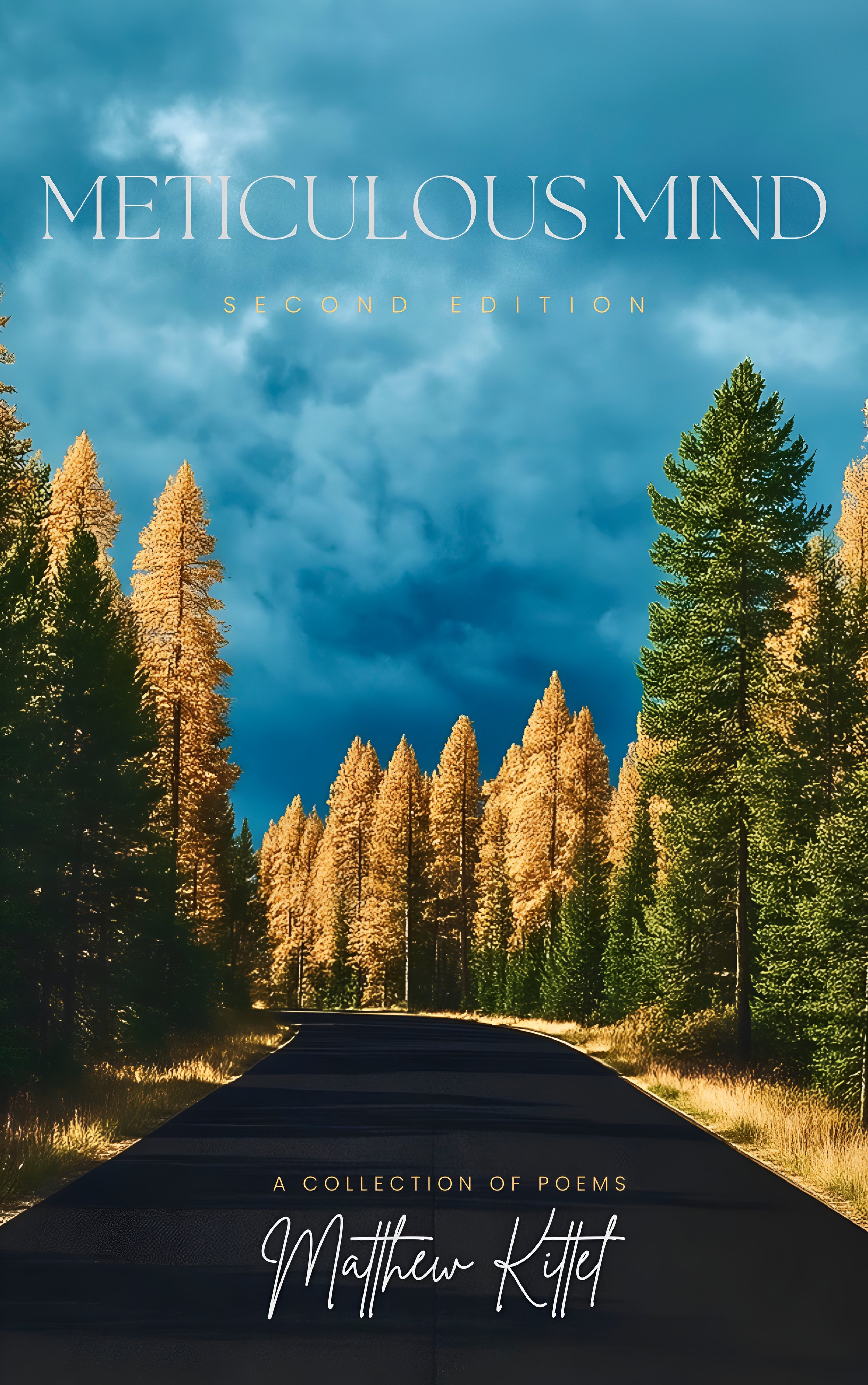 Link to Amazon kindle purchase