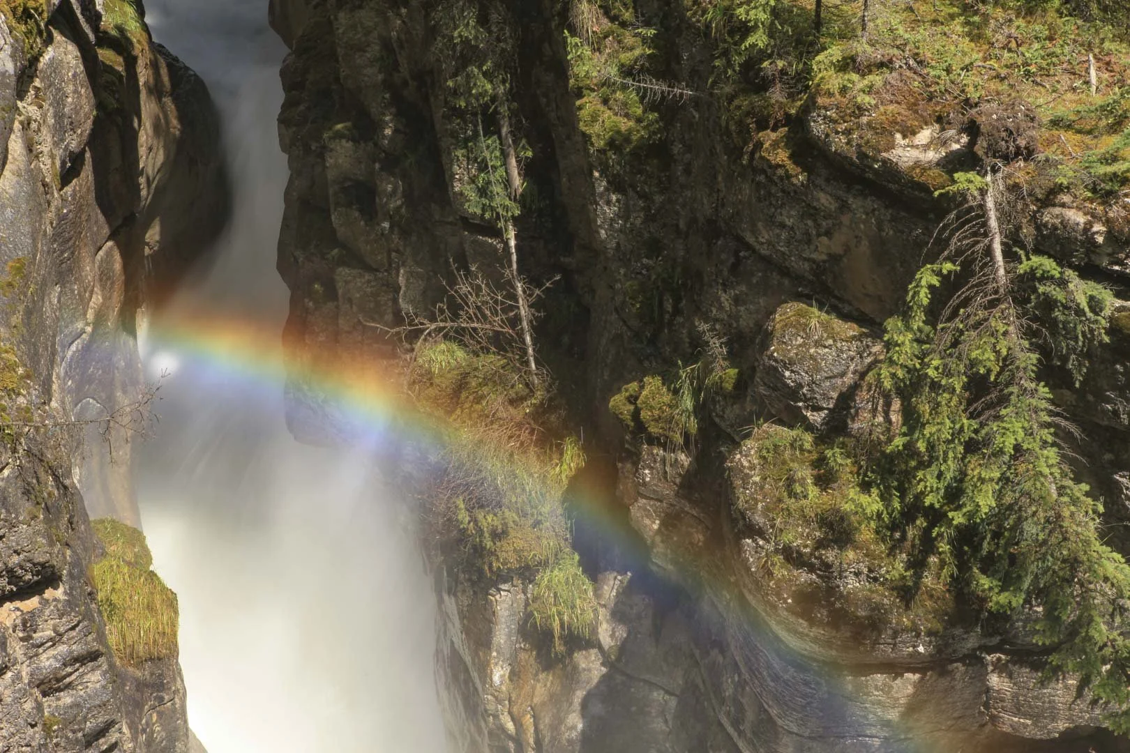 josephb-photography-travel-nature-wildlife-photographer-canada-vancouver-island-athabasca-falls 1.jpg