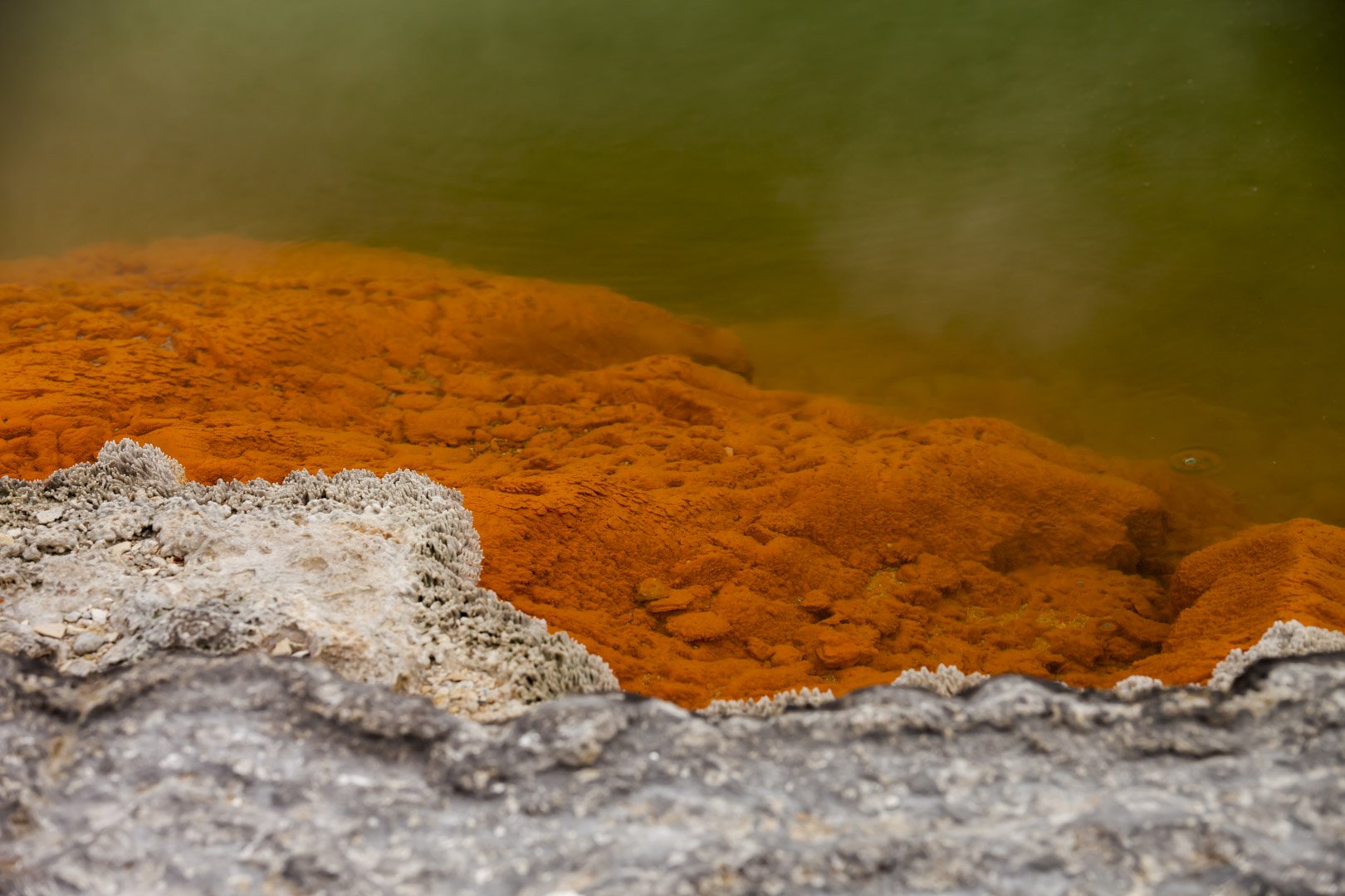josephbphotography-earth-as-matter-New-Zealand-te-puia-geothermal-valley-rotorua 6.jpg