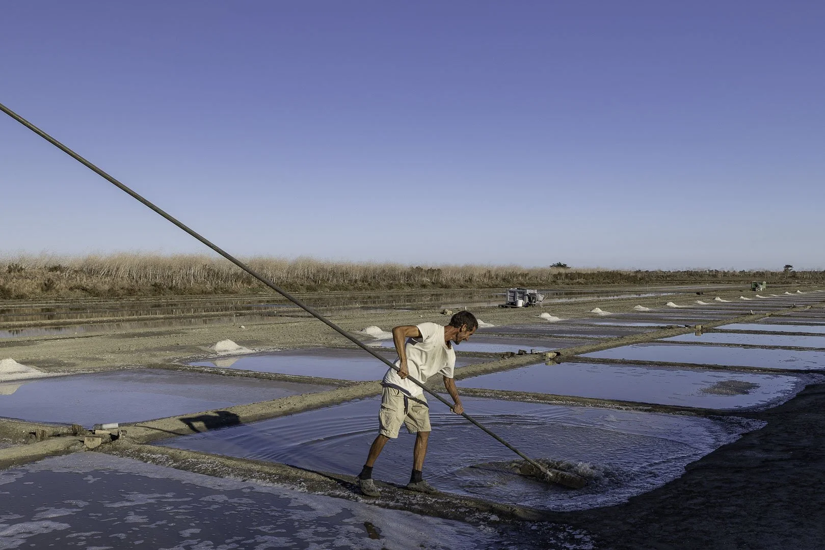 The Salt Worker