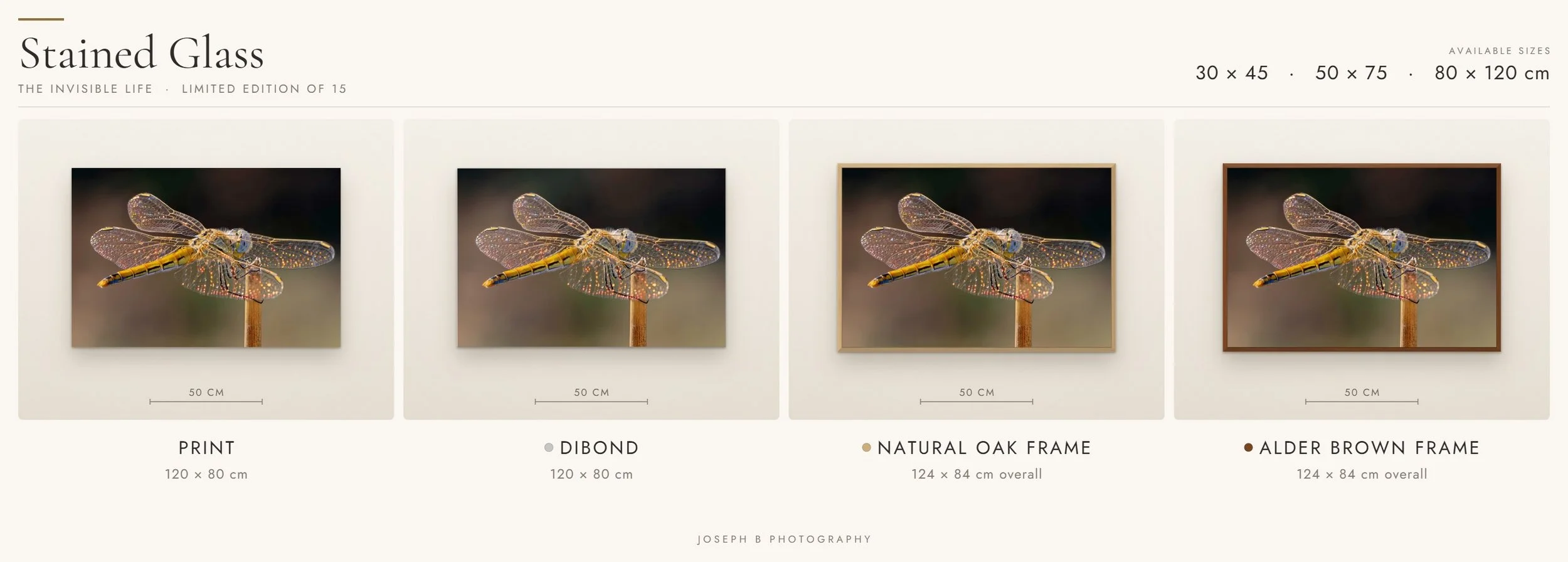 Stained Glass dragonfly Fine Art photograph presented in four finishes: unframed print, Dibond, natural oak frame and alder brown frame.