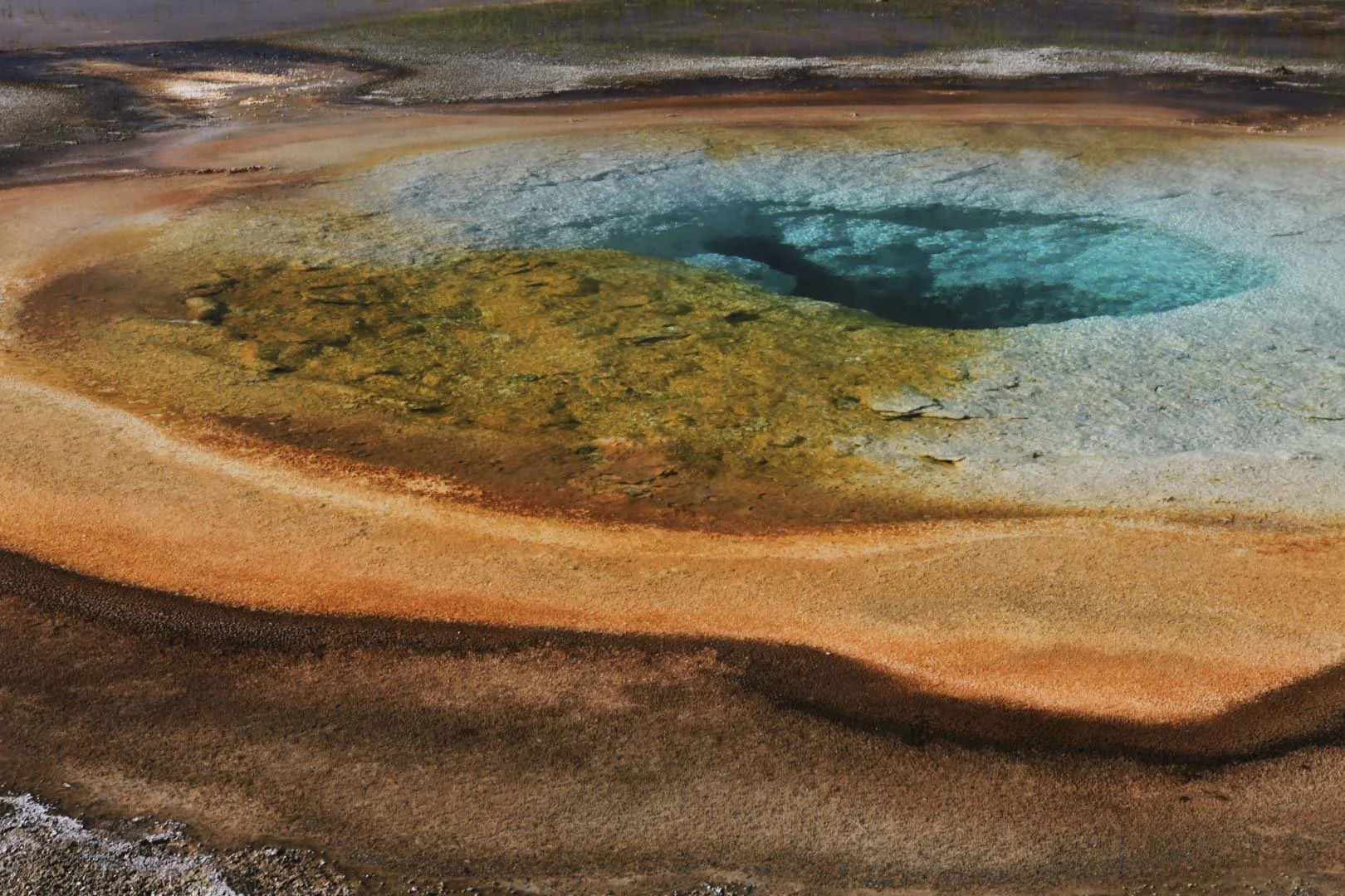 josephb-photography-travel-nature-wildlife-macro-photographer-USA-west-coast-yellowstone-national-park 2.jpg