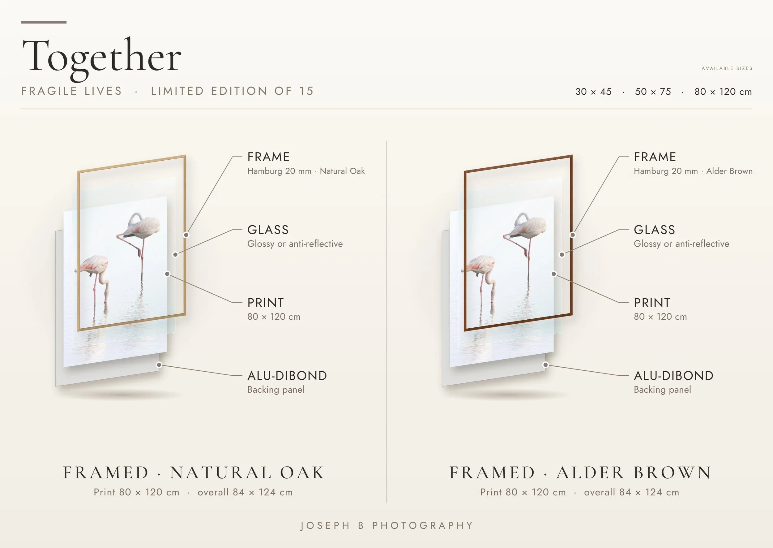 Exploded view of the Together framed fine art print showing the glass, print, Alu-Dibond backing and natural oak or alder brown frame options.