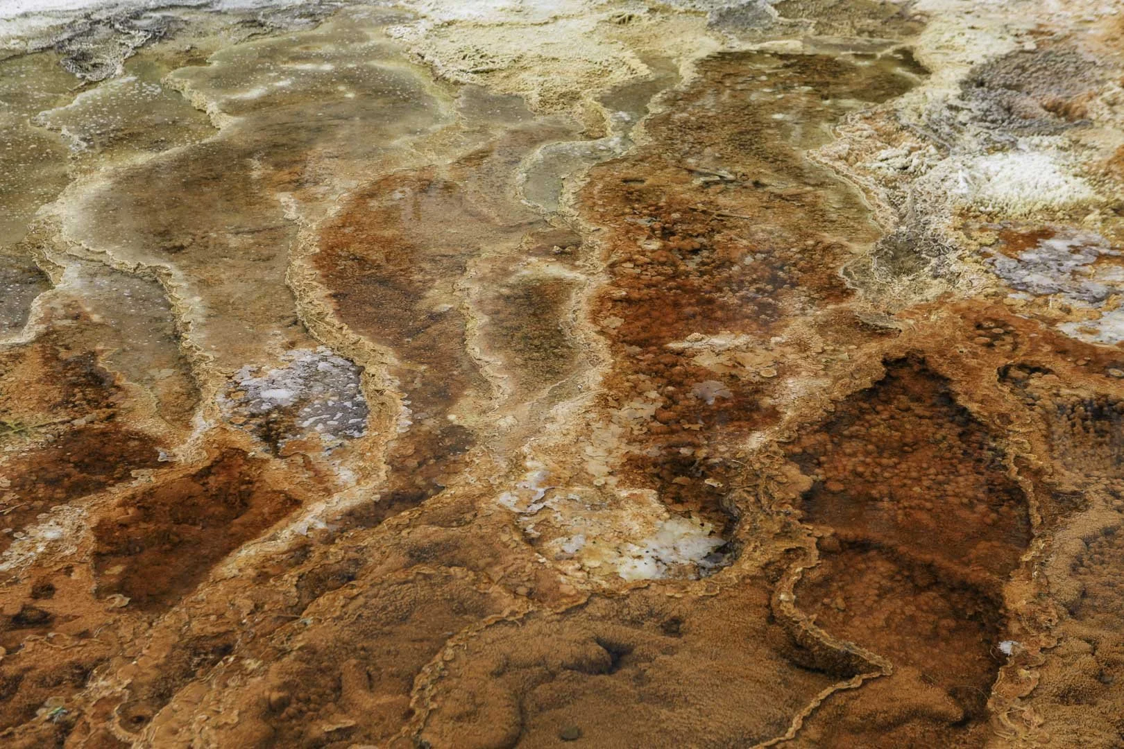 Close-up of orange, red and cream mineral deposits at Mammoth Hot Springs in Yellowstone National Park, USA.