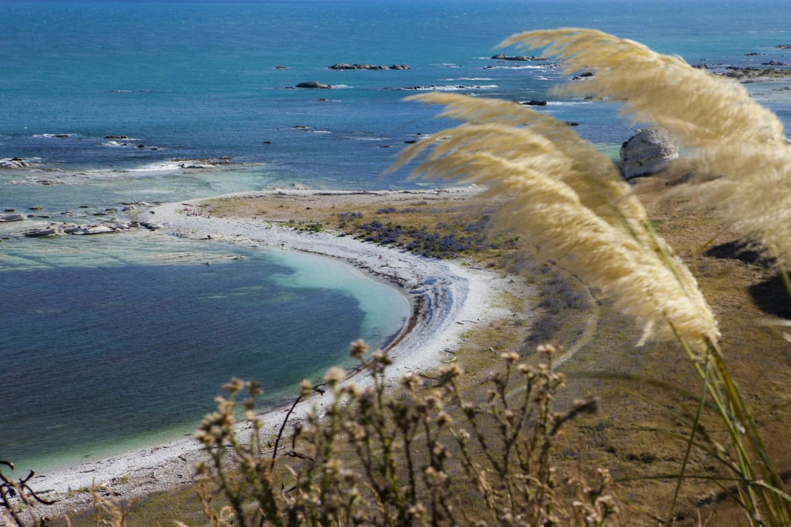 josephb-photography-travel-nature-wildlife-photographer-New-Zealand-wild-beaches 5.jpg