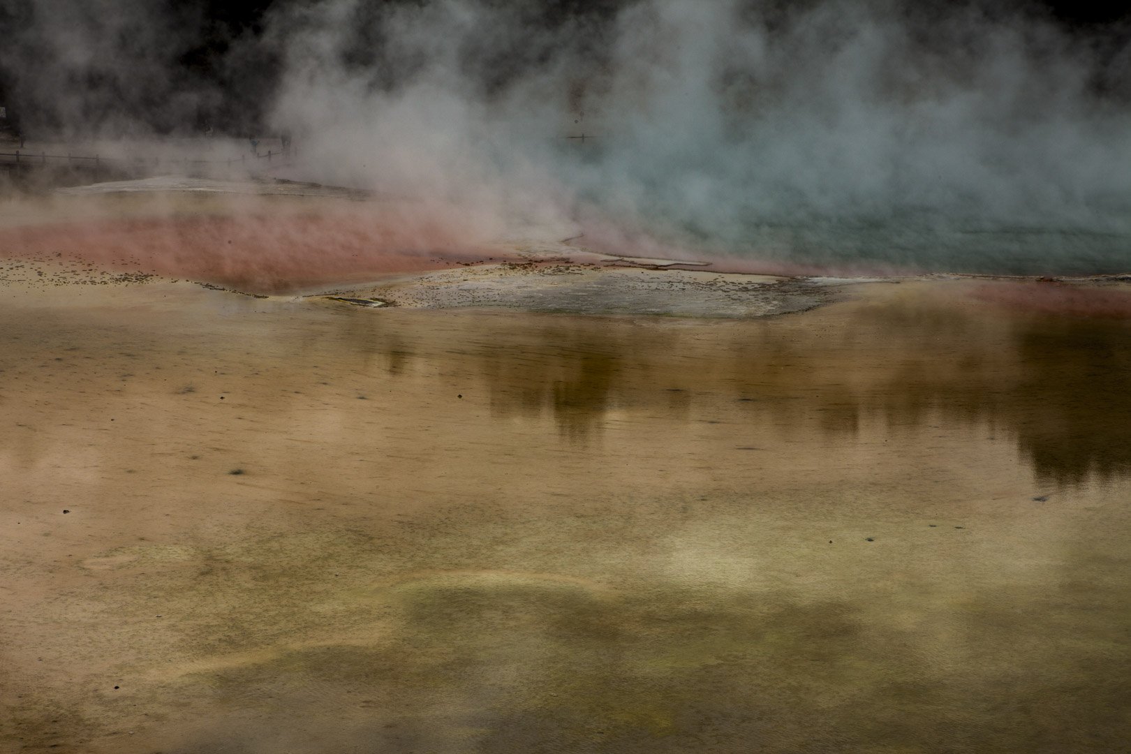 josephbphotography-earth-as-matter-New-Zealand-te-puia-geothermal-valley-rotorua.jpg