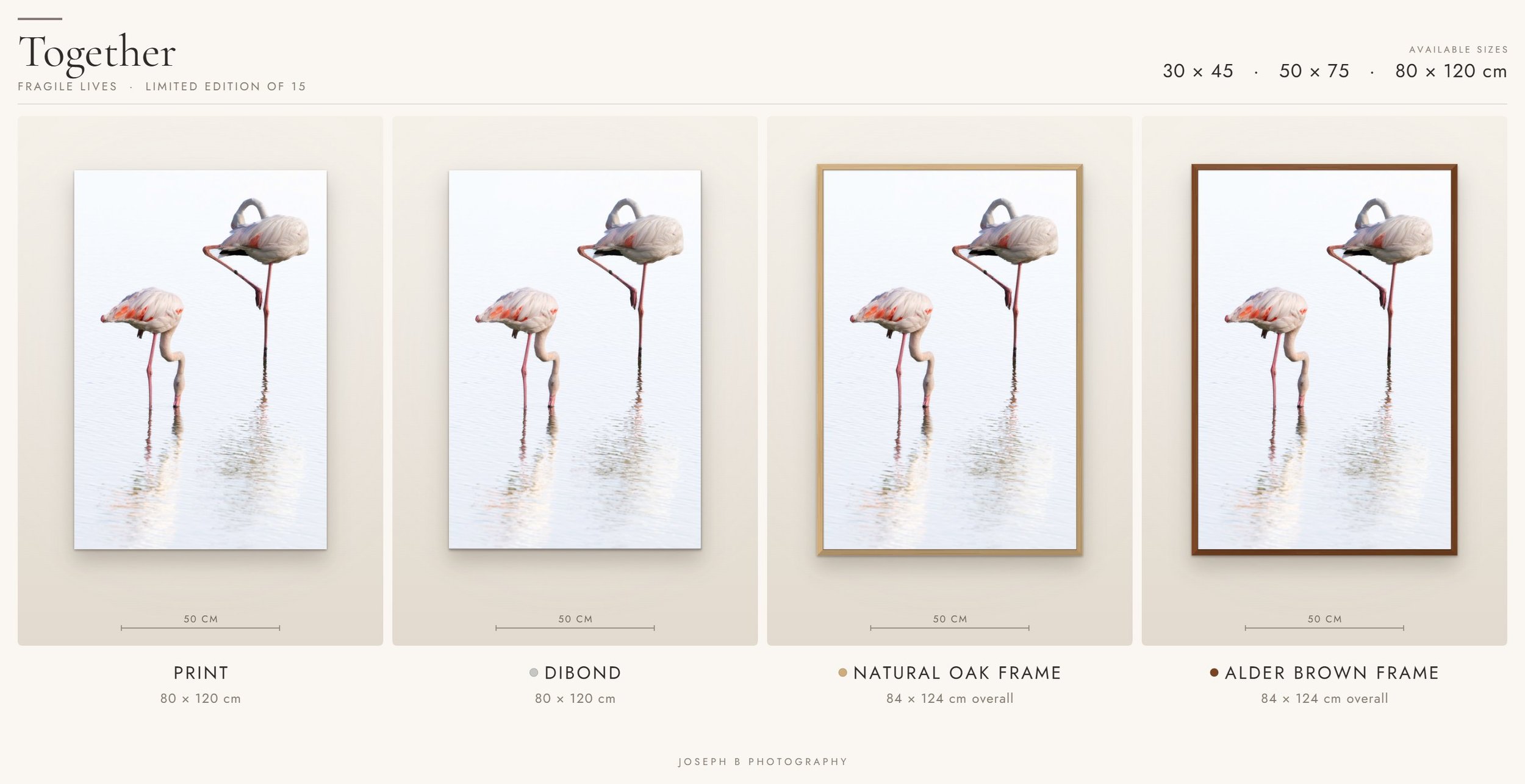 Together fine art print shown in four presentation options: print, Dibond, natural oak frame and alder brown frame.