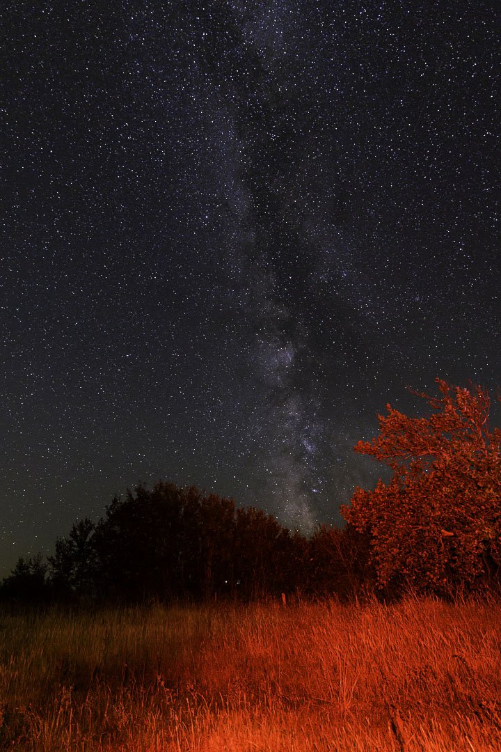 Beneath the Milky Way